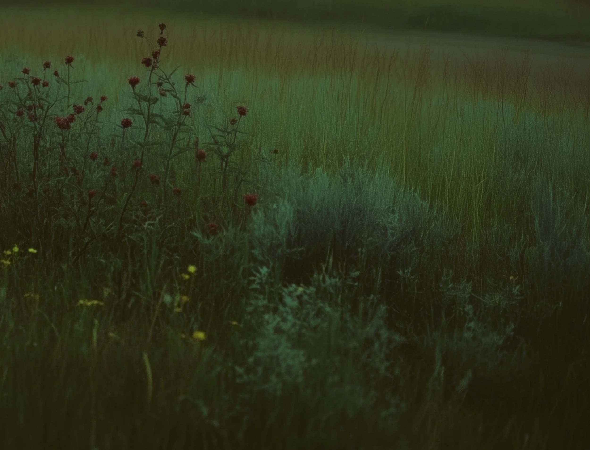 Screenshot 2026-03-03 at 12.22.49 PM.png