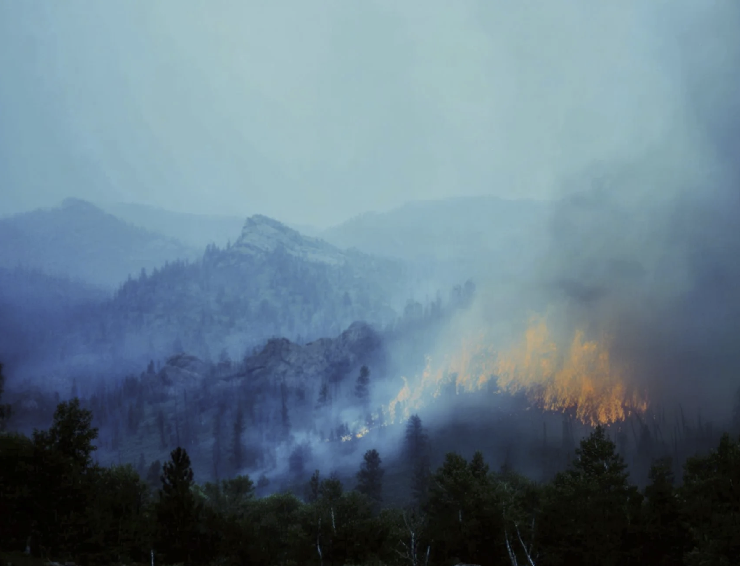 Screenshot 2026-03-03 at 12.29.41 PM.png