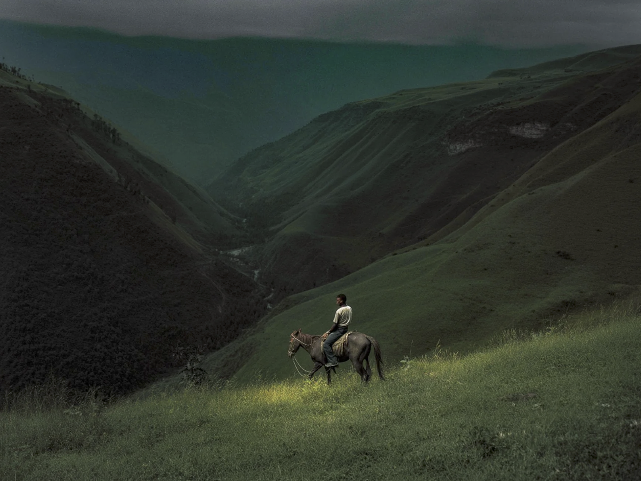 Screenshot 2026-03-03 at 12.32.54 PM.png