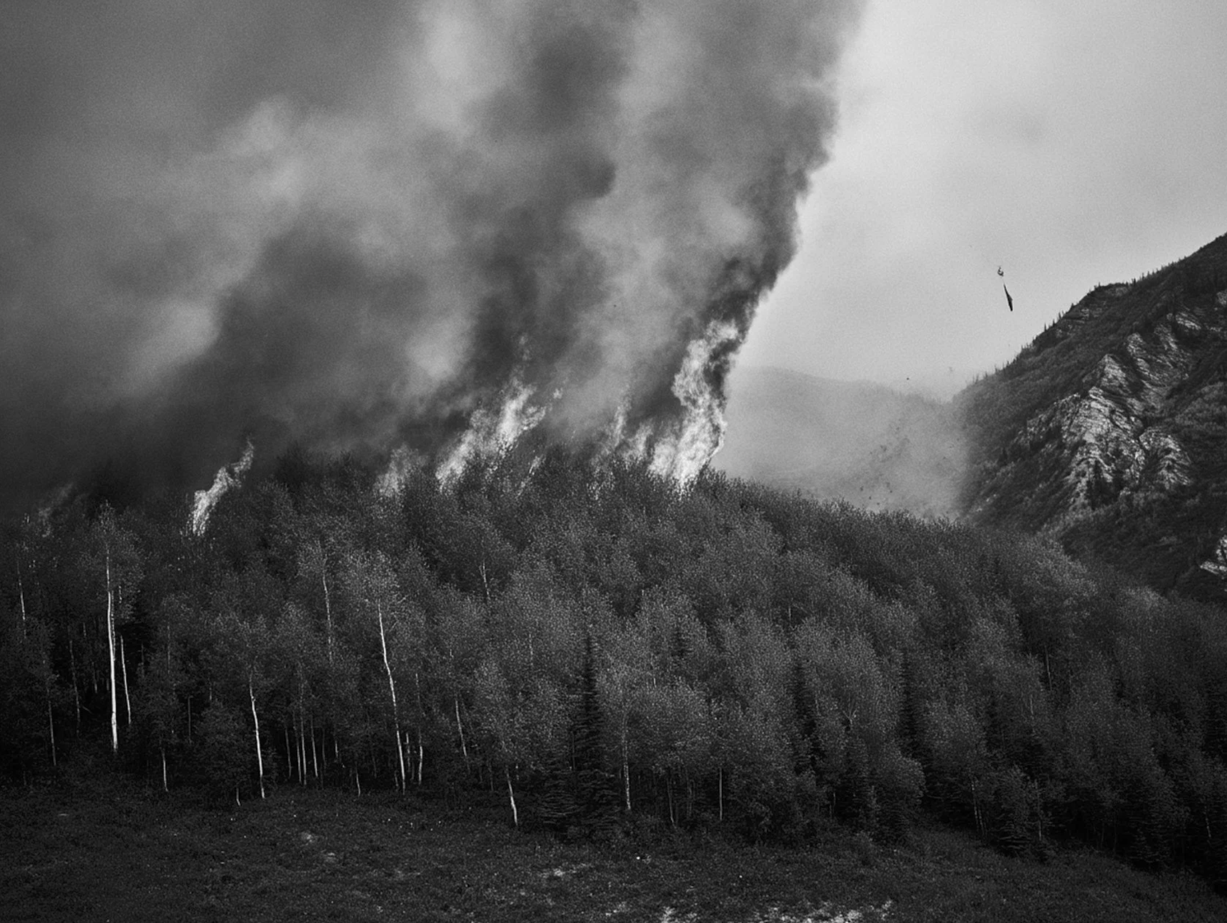 Screenshot 2026-03-03 at 12.40.10 PM.png