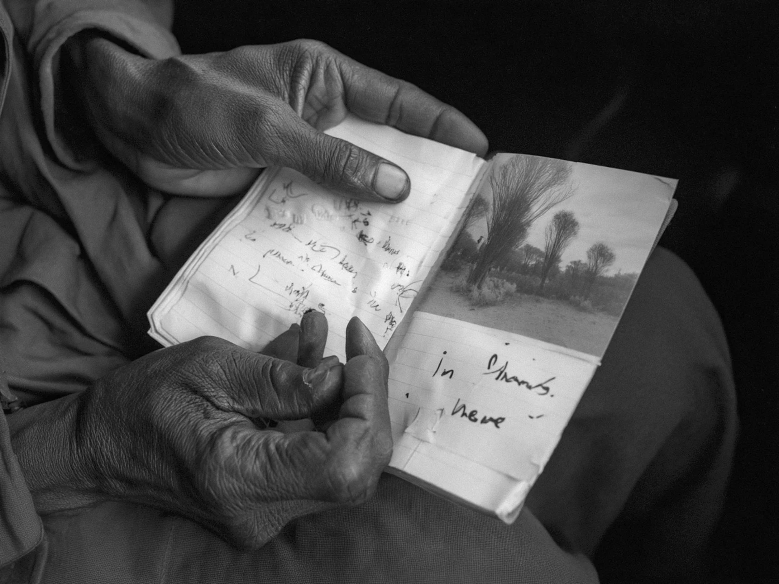 Screenshot 2026-03-03 at 12.43.56 PM.png