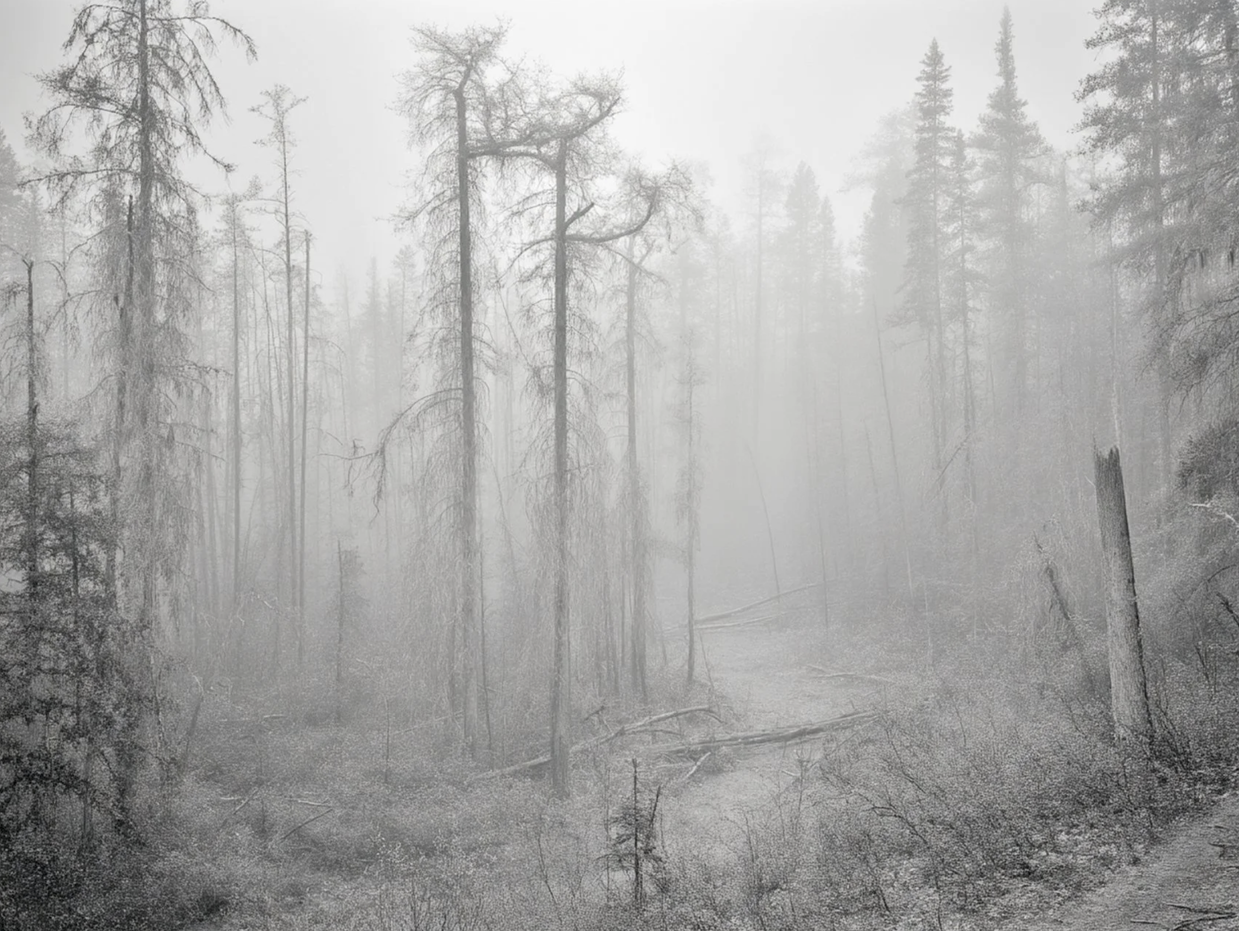 Screenshot 2026-03-03 at 12.43.29 PM.png