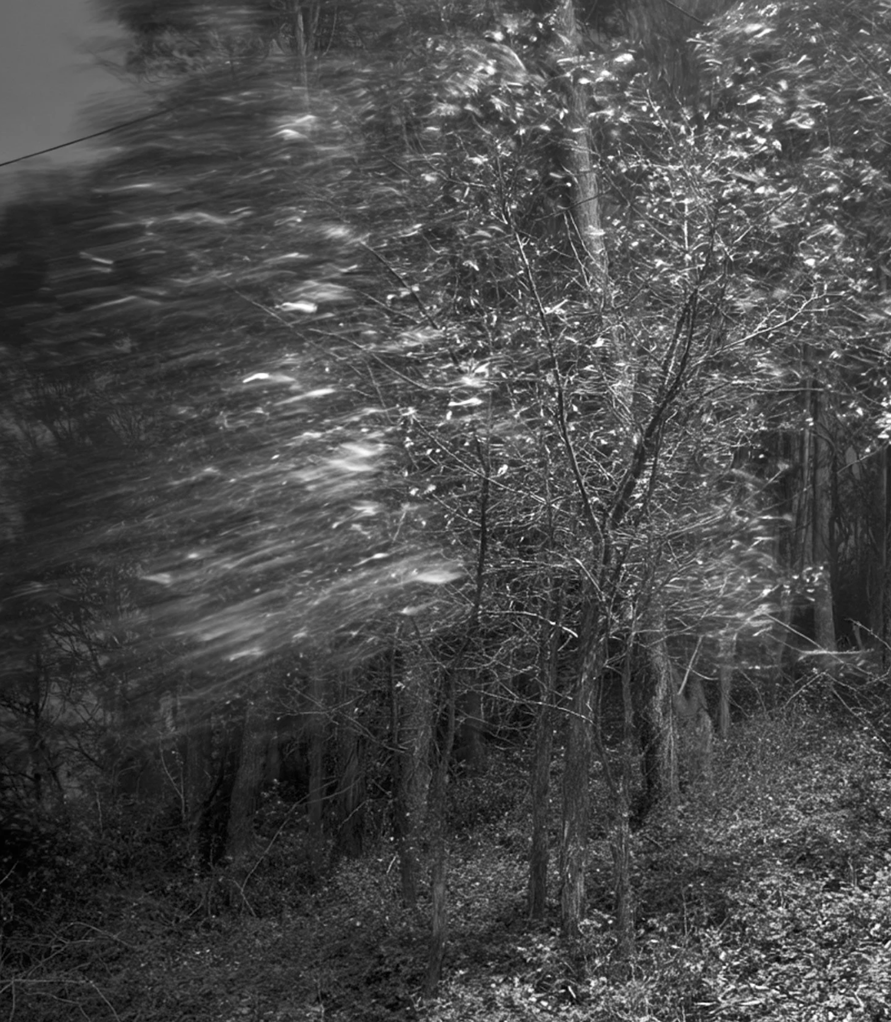 Screenshot 2026-03-03 at 12.46.29 PM.png