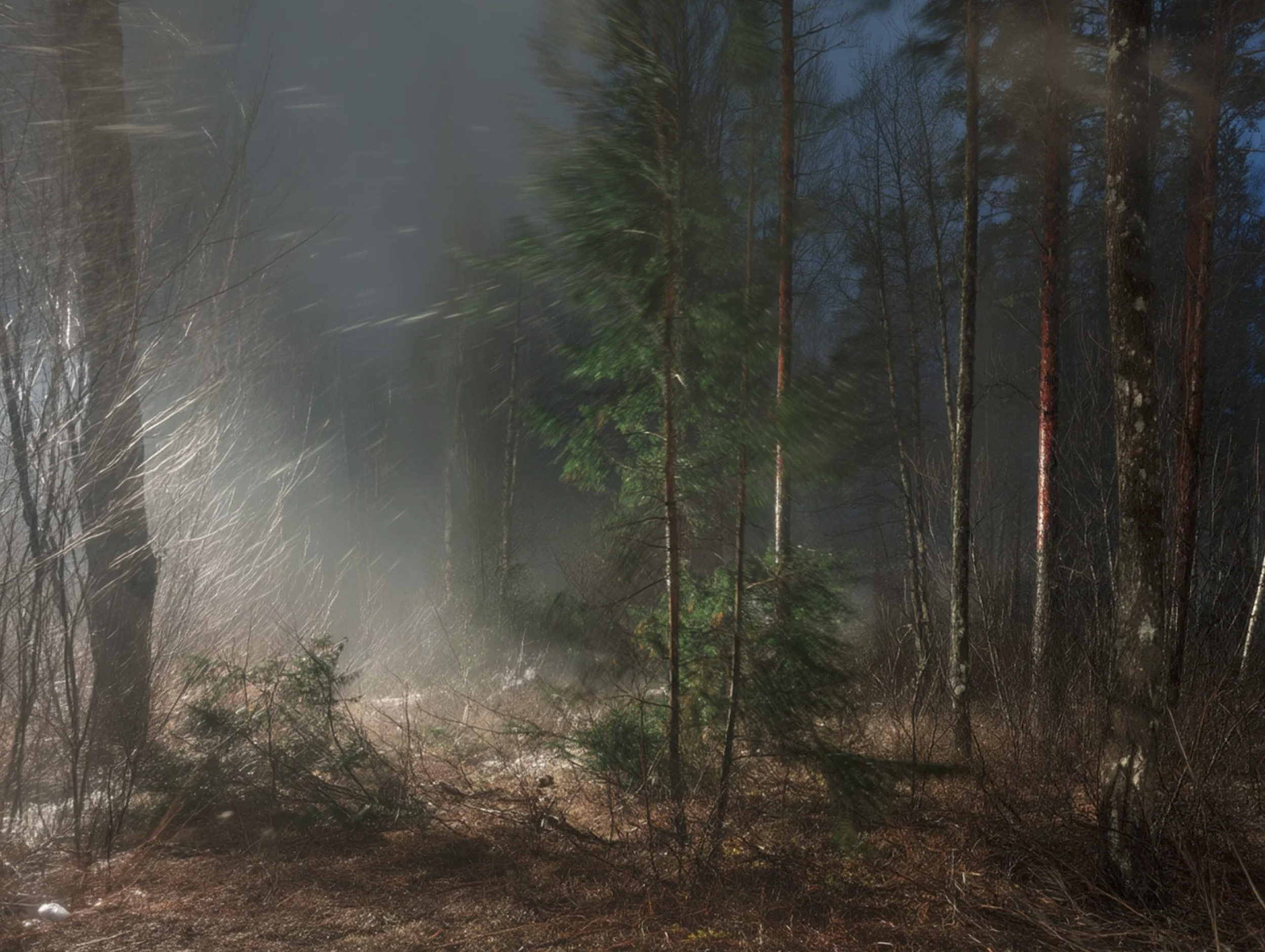 Screenshot 2026-03-03 at 12.46.38 PM.png