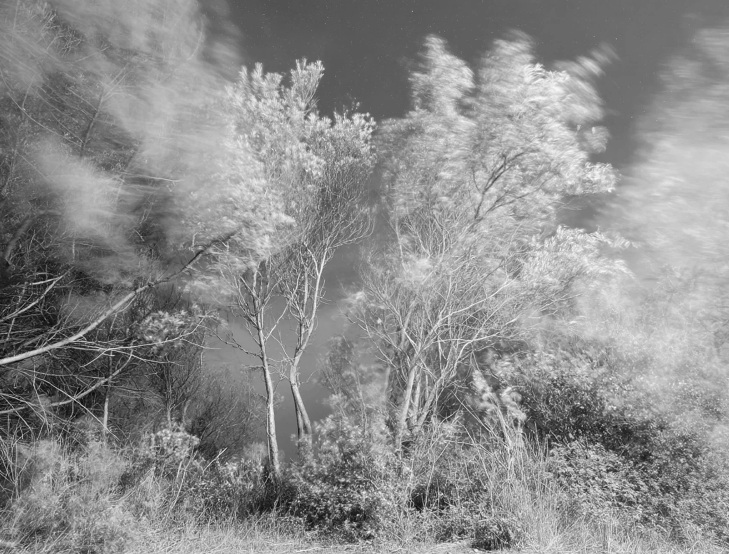 Screenshot 2026-03-03 at 12.47.04 PM.png