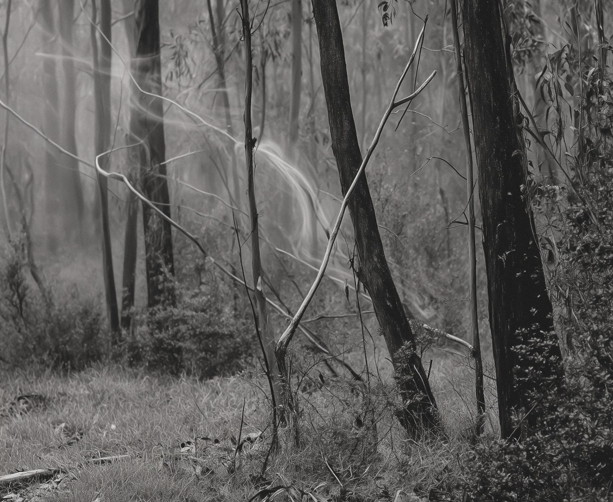 Screenshot 2026-03-03 at 12.47.31 PM.png