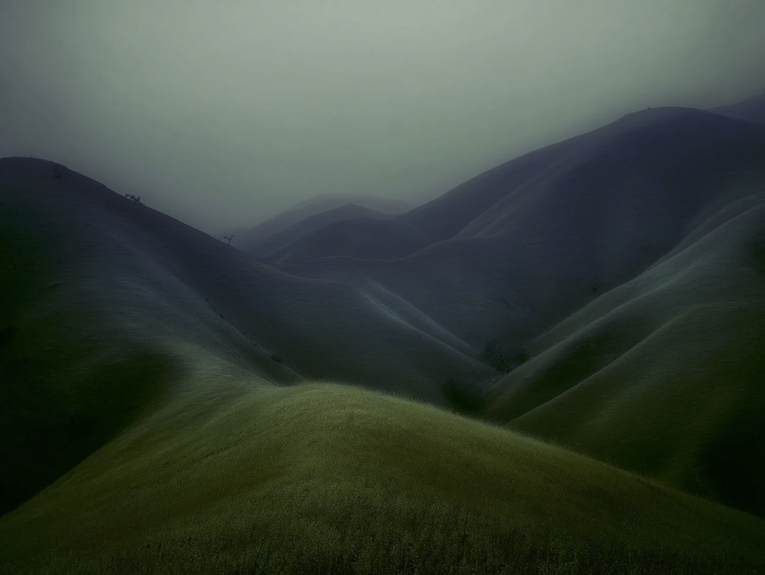 Screenshot 2026-03-03 at 12.52.06 PM.png