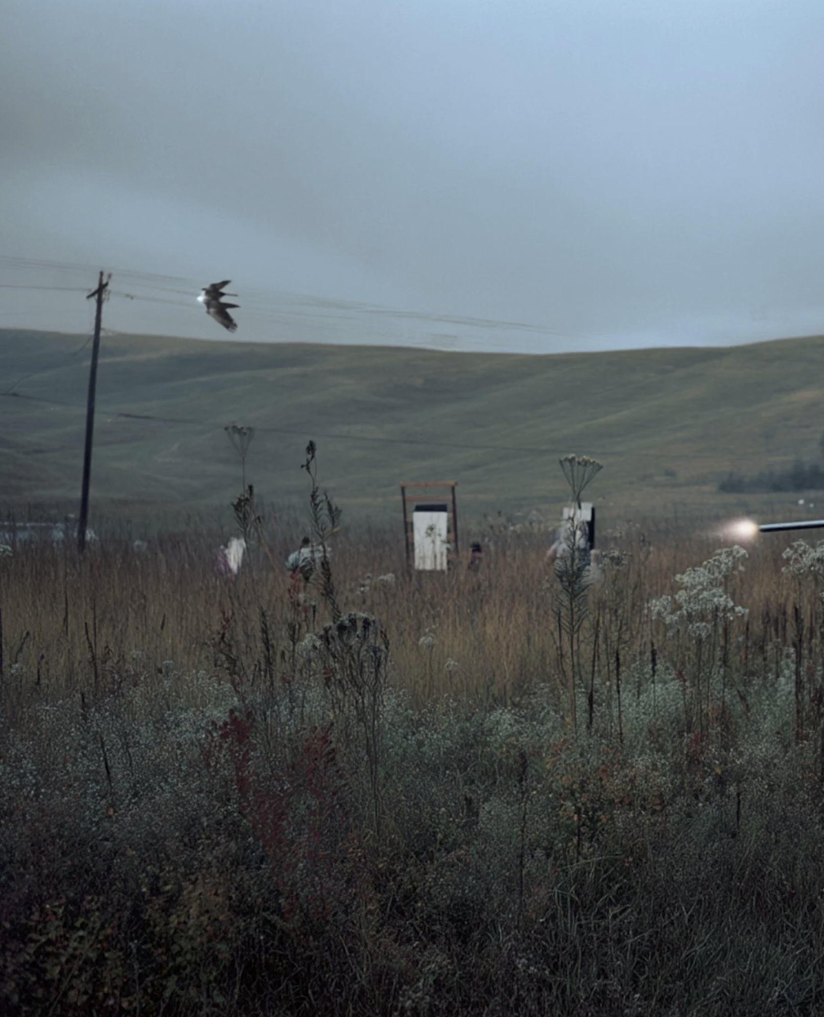 Screenshot 2026-03-03 at 12.52.55 PM.png