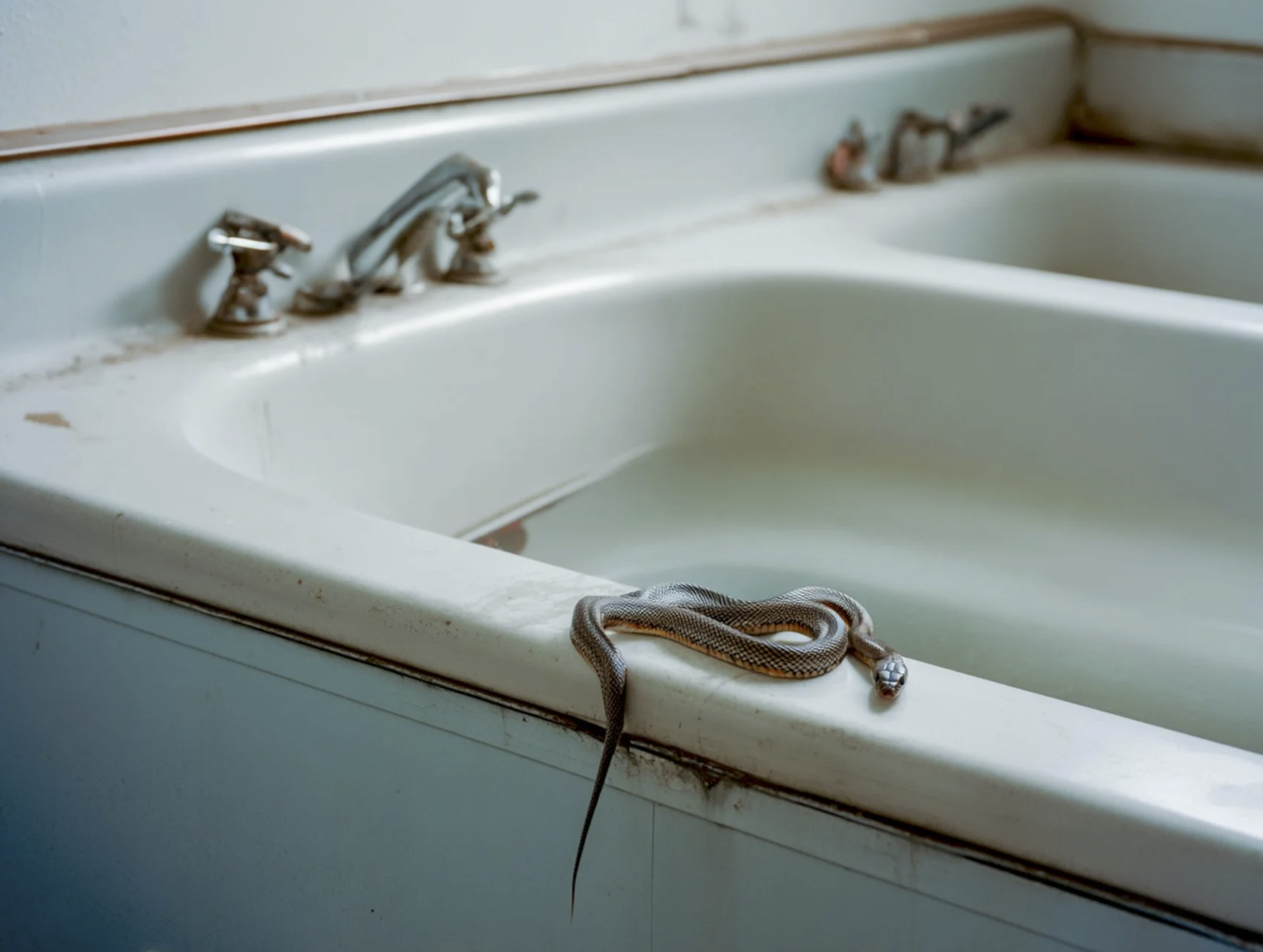 Screenshot 2026-03-03 at 12.54.39 PM.png