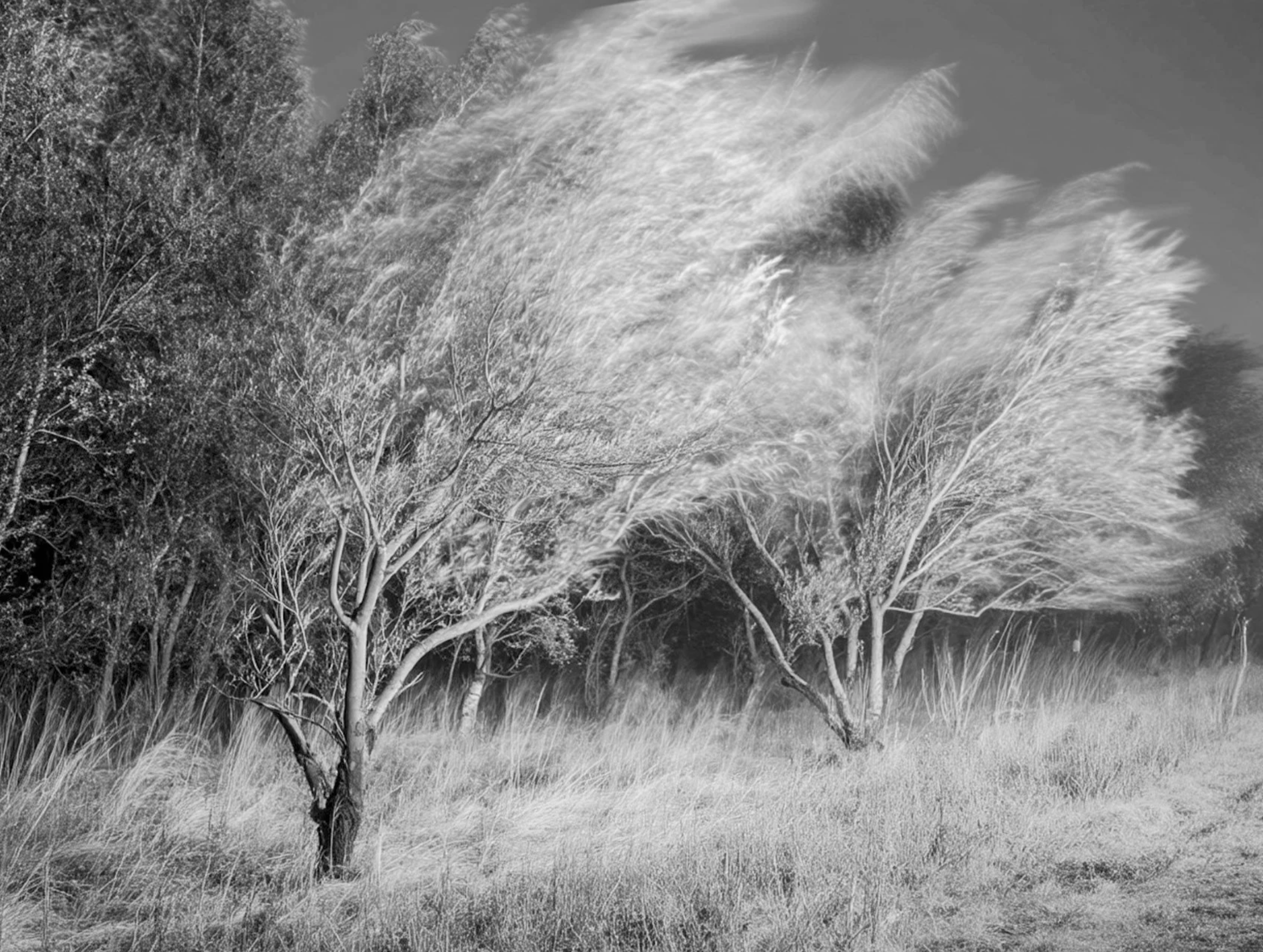 Screenshot 2026-03-03 at 12.56.27 PM.png