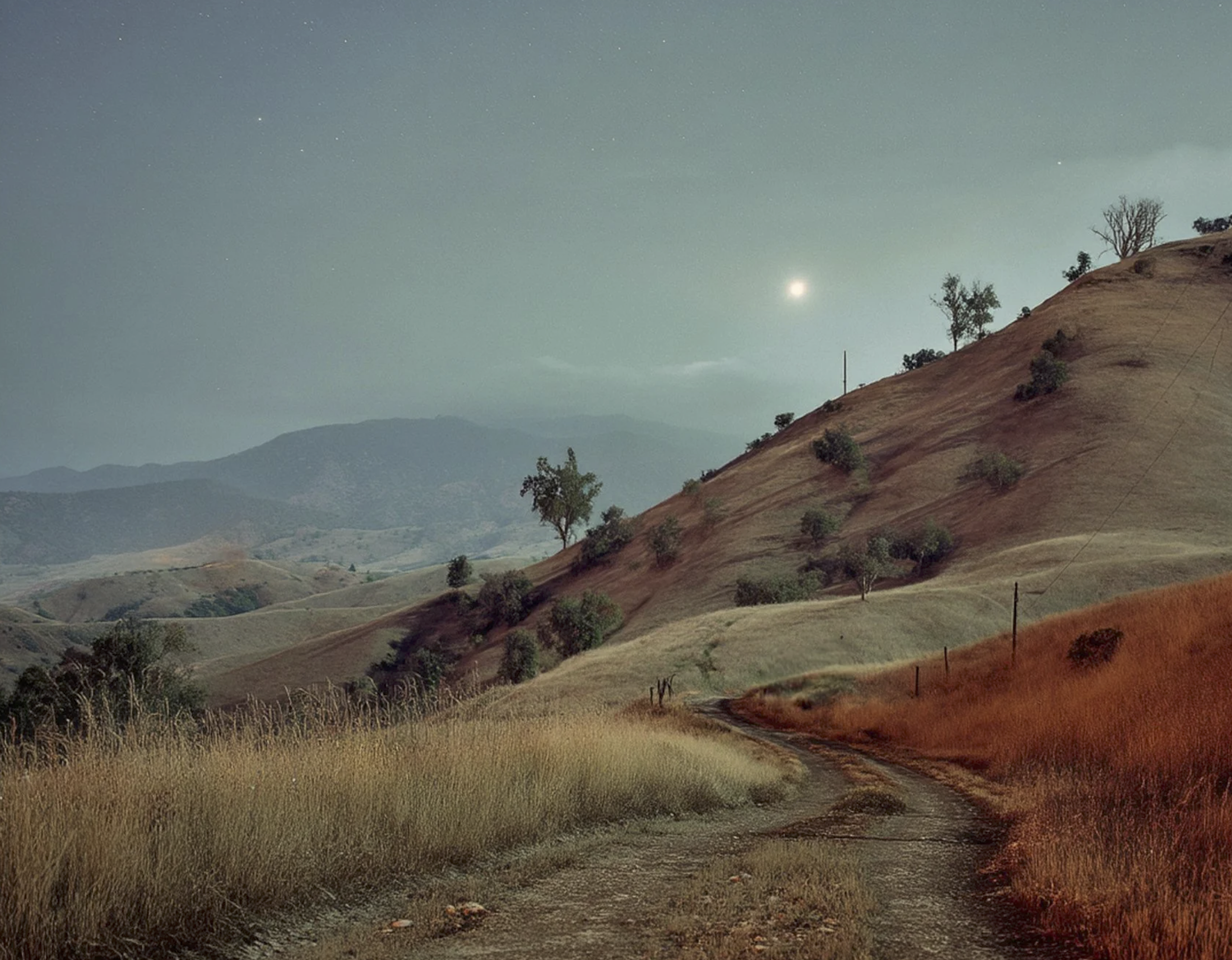 Screenshot 2026-03-03 at 12.57.42 PM.png