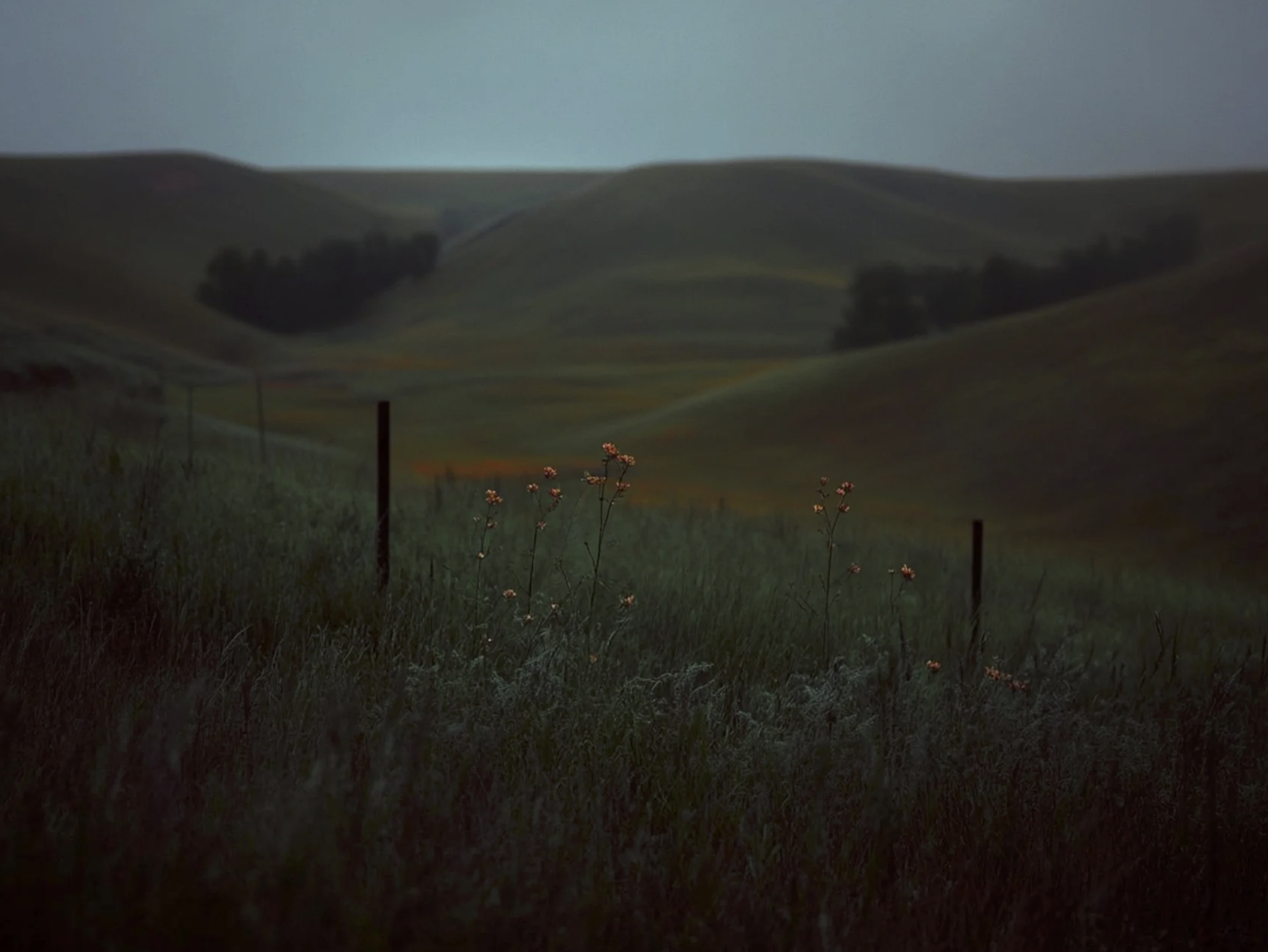 Screenshot 2026-03-03 at 1.55.10 PM.png