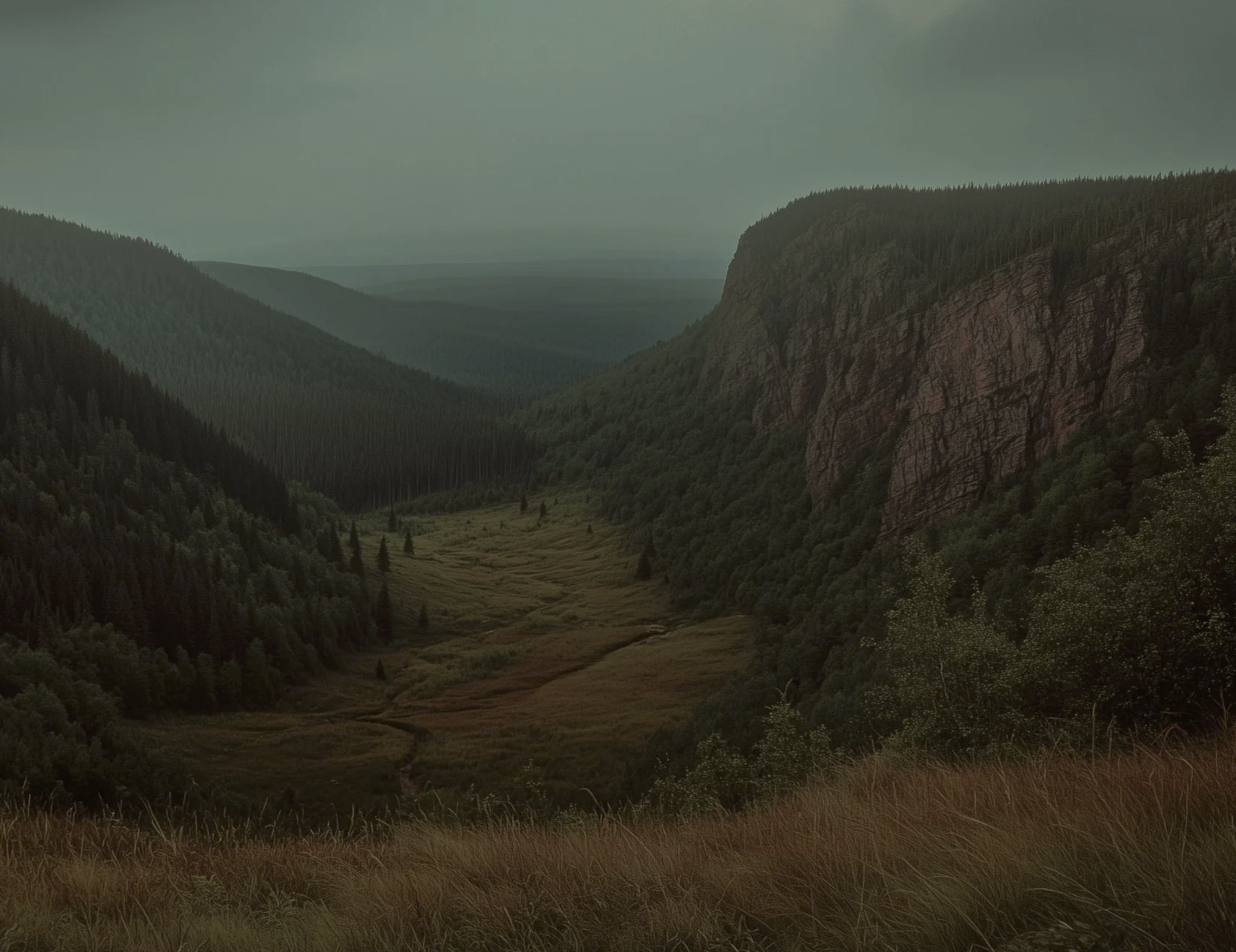 Screenshot 2026-03-03 at 1.55.22 PM.png