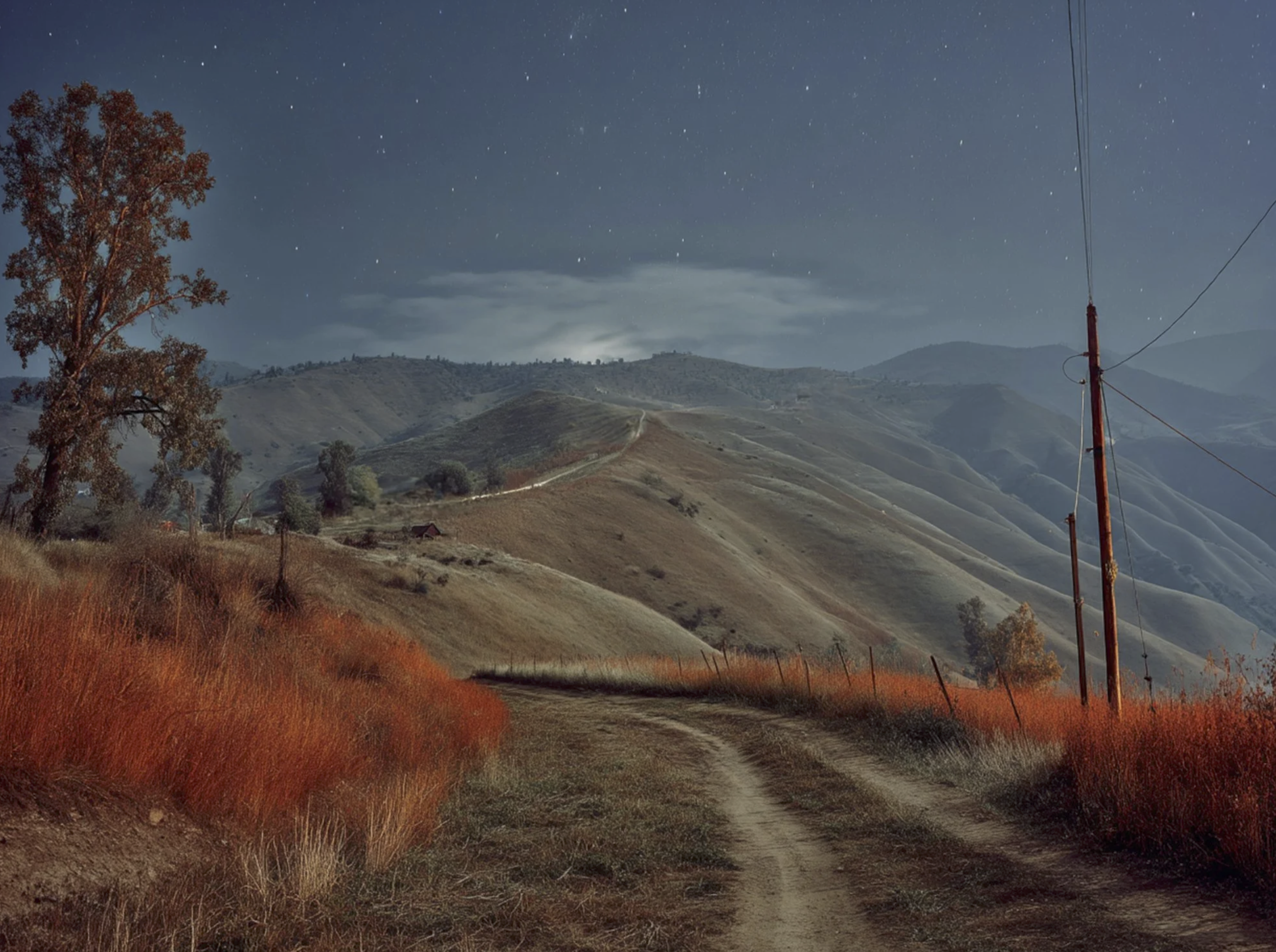 Screenshot 2026-03-03 at 1.57.39 PM.png