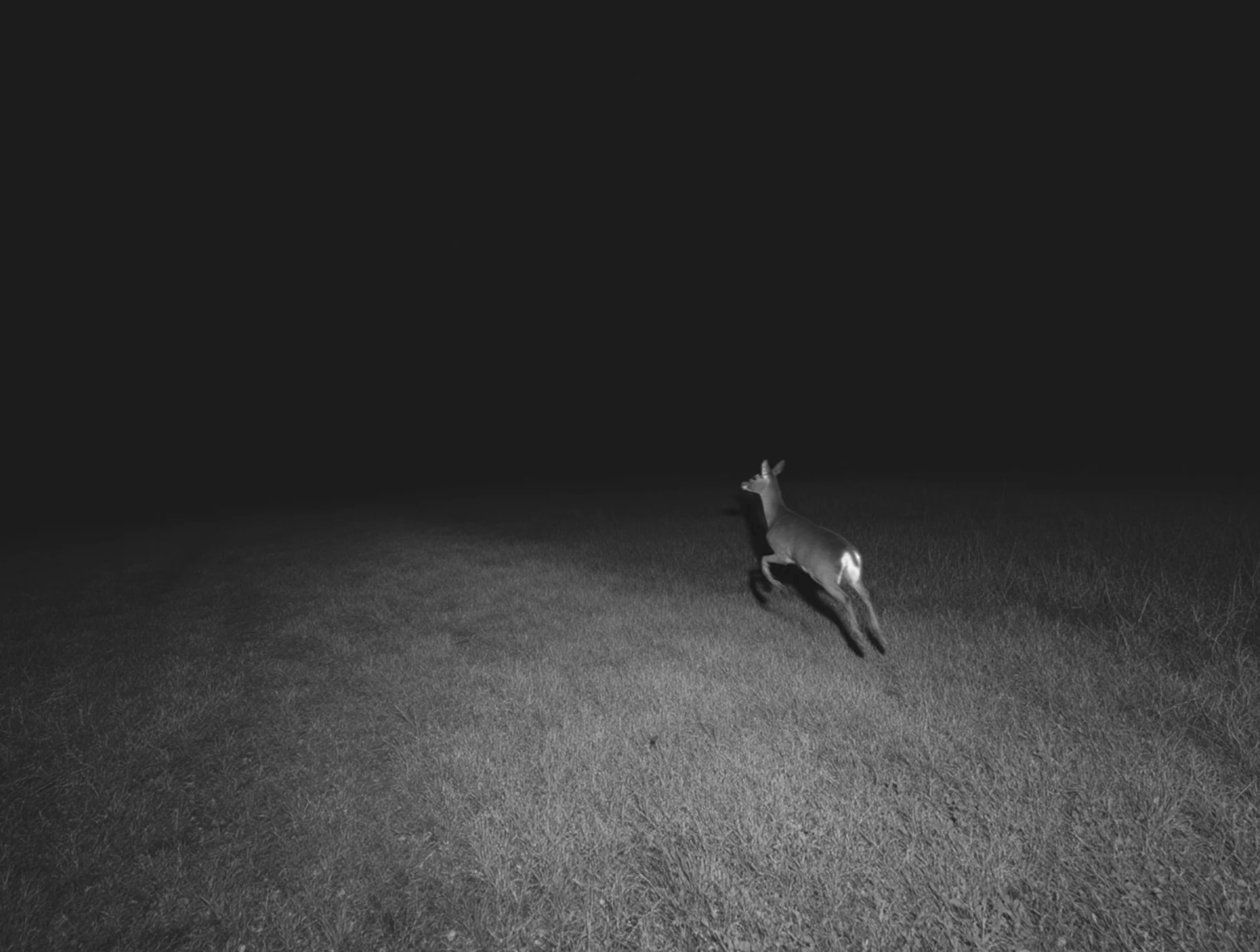 Screenshot 2026-03-03 at 2.03.49 PM.png