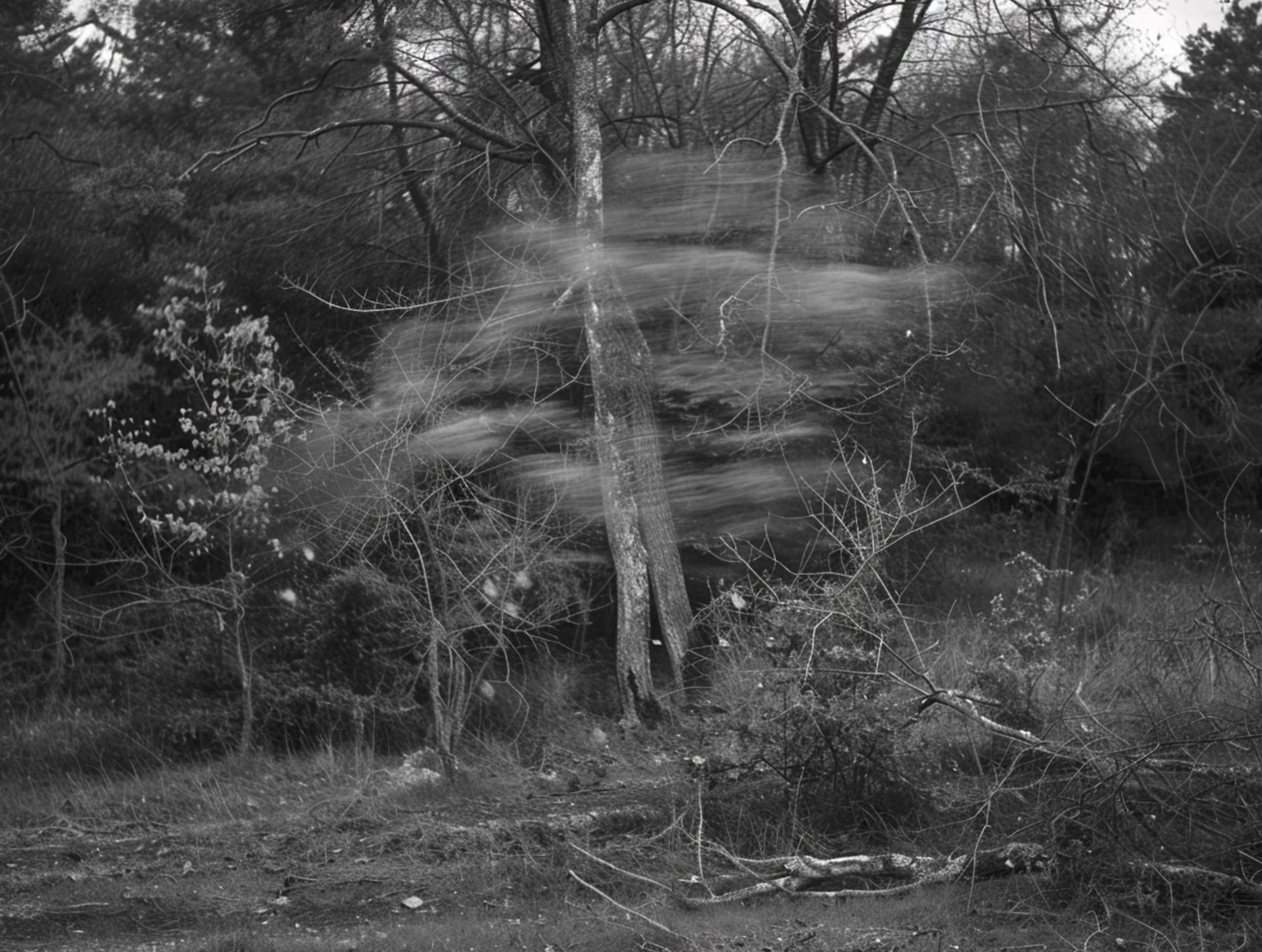 Screenshot 2026-03-03 at 2.07.32 PM.png