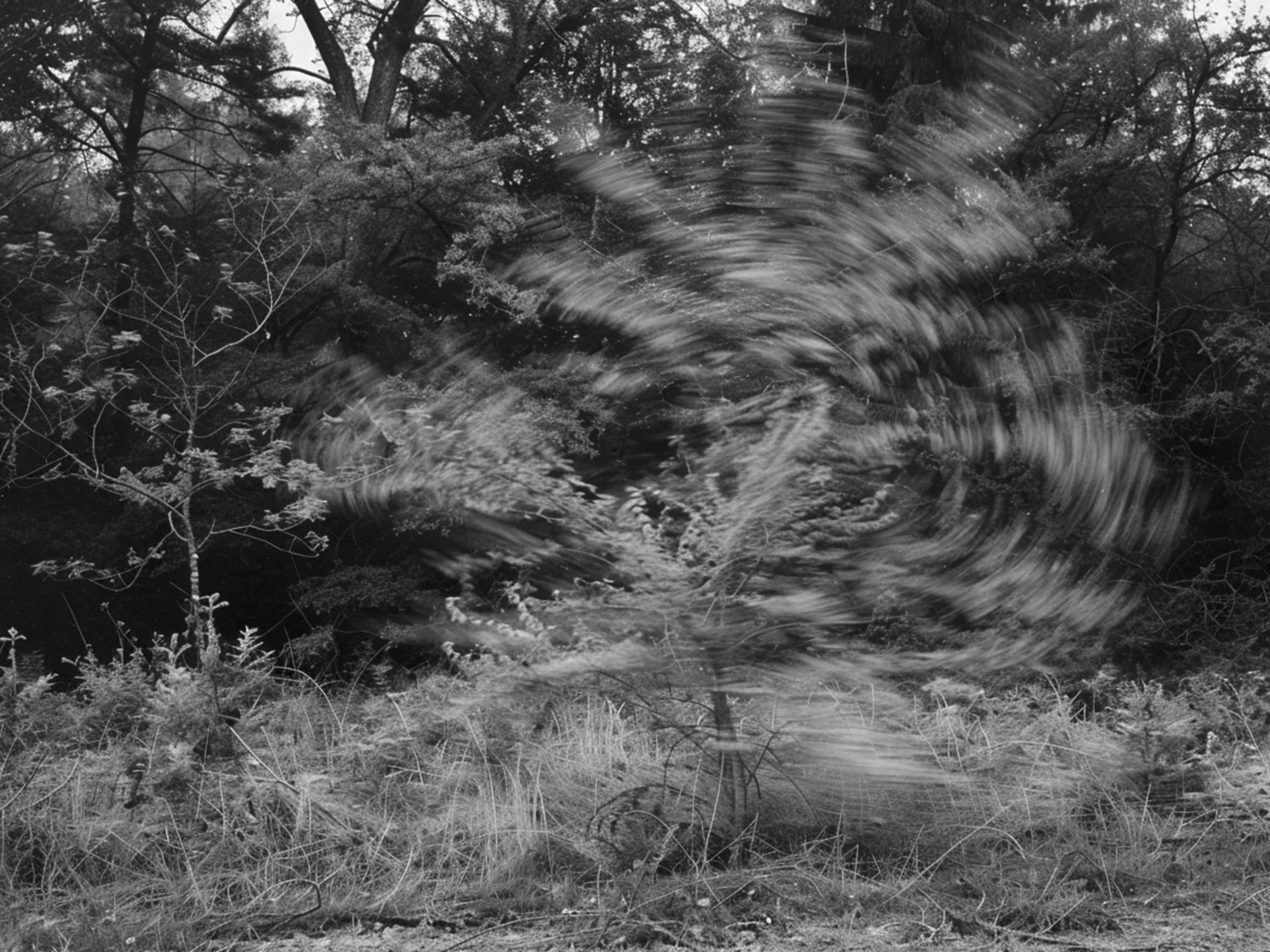 Screenshot 2026-03-03 at 2.07.46 PM.png