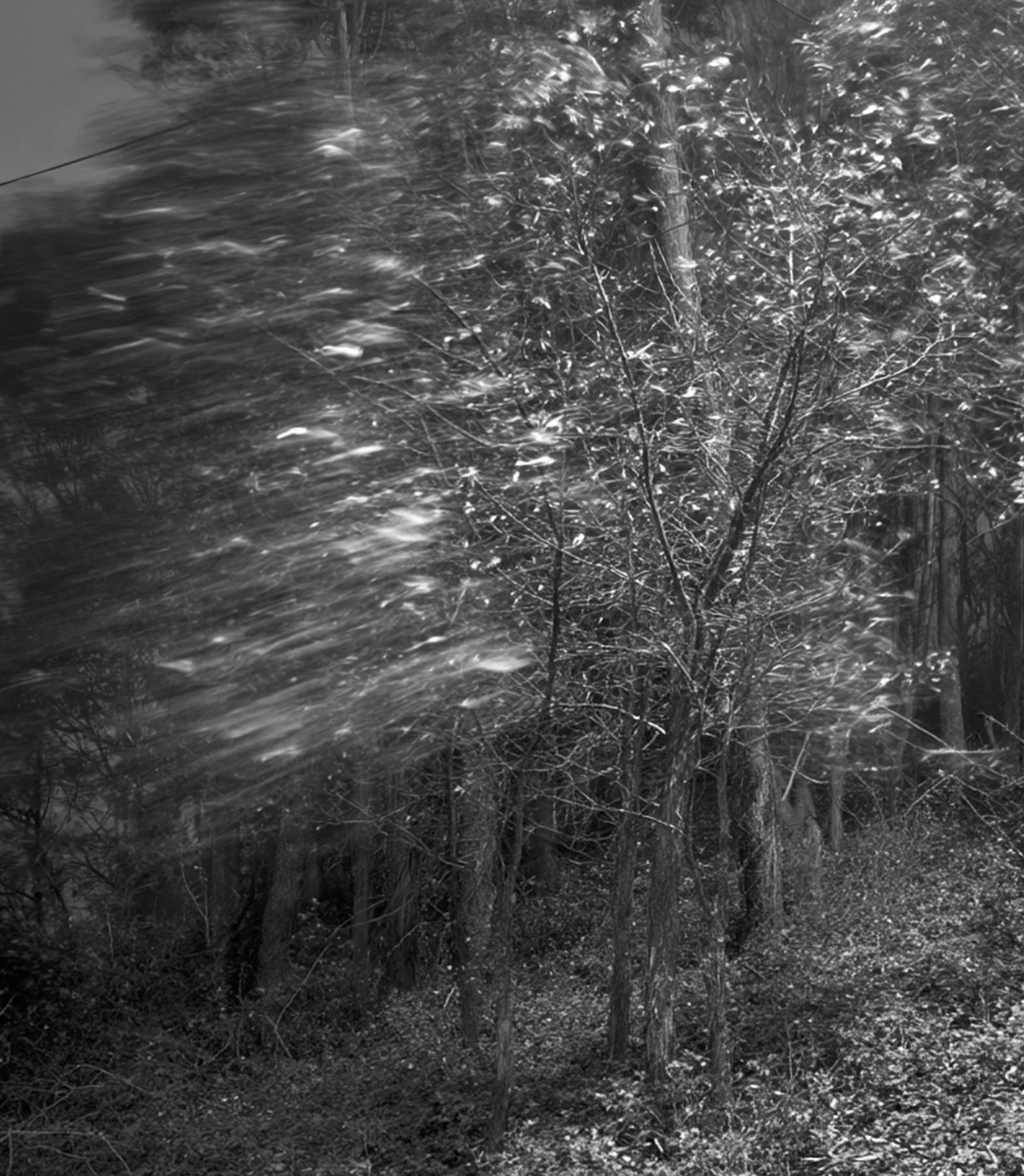 Screenshot 2026-03-03 at 2.07.59 PM.png