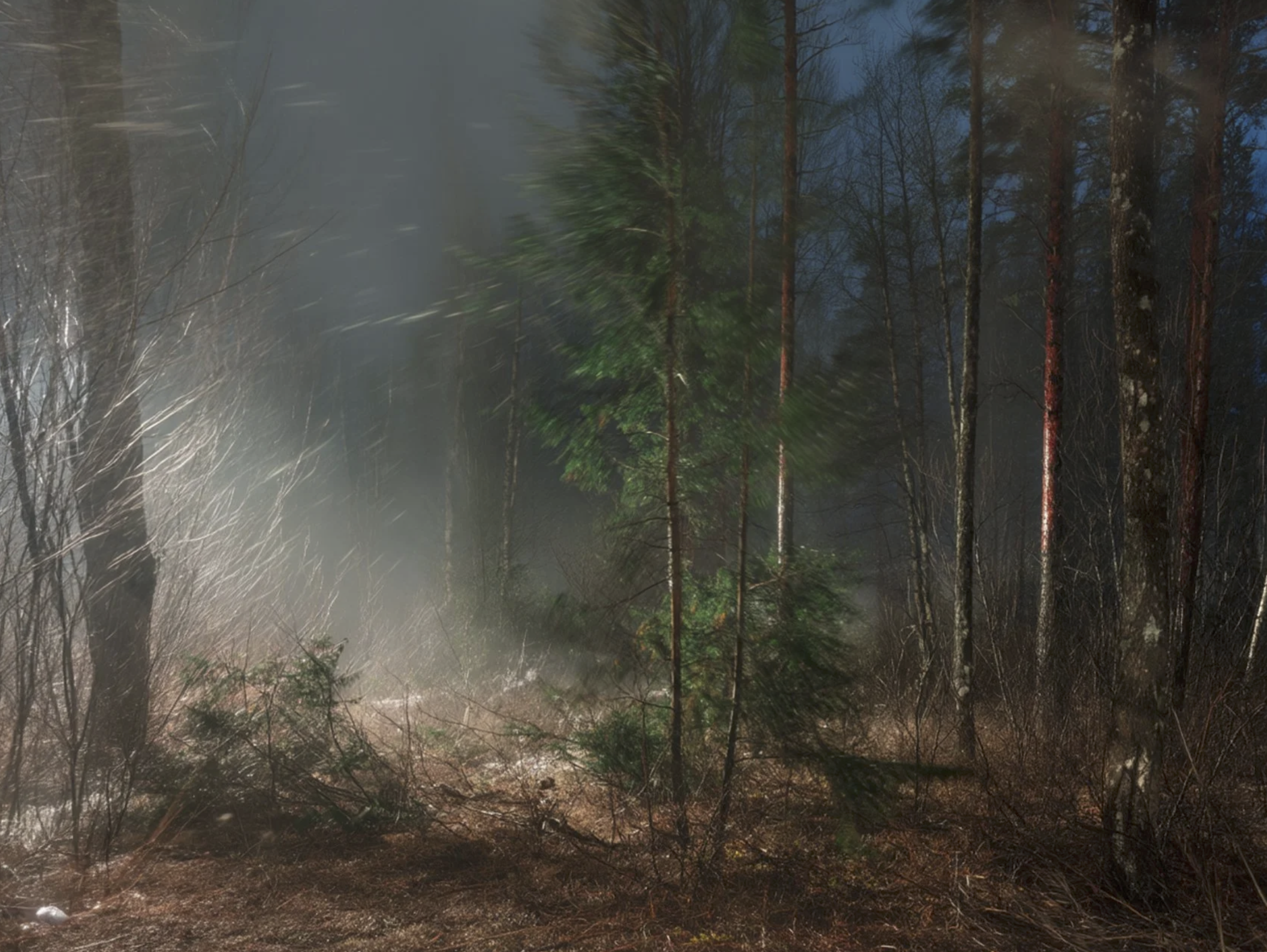 Screenshot 2026-03-03 at 2.08.18 PM.png