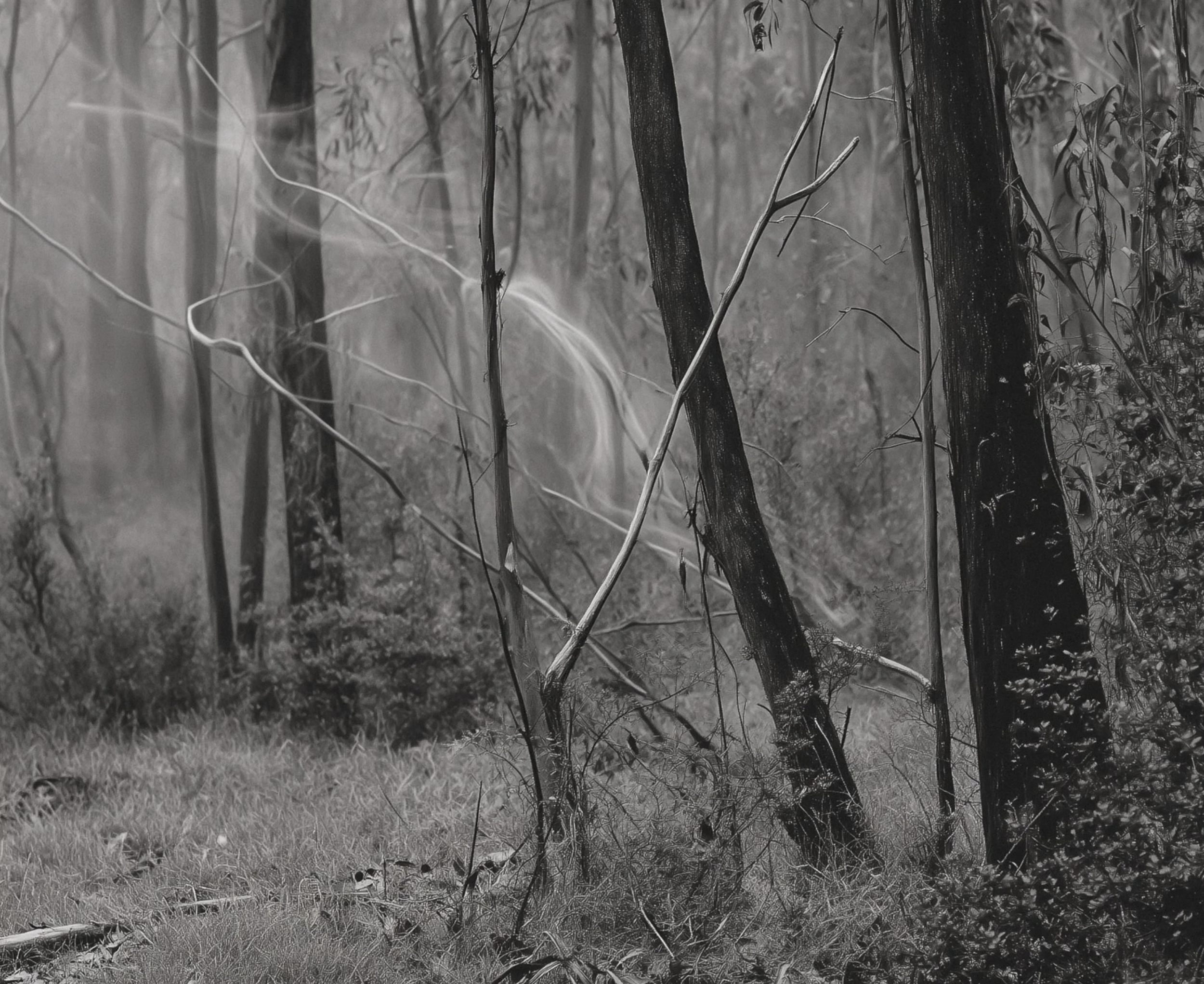 Screenshot 2026-03-03 at 2.09.04 PM.png