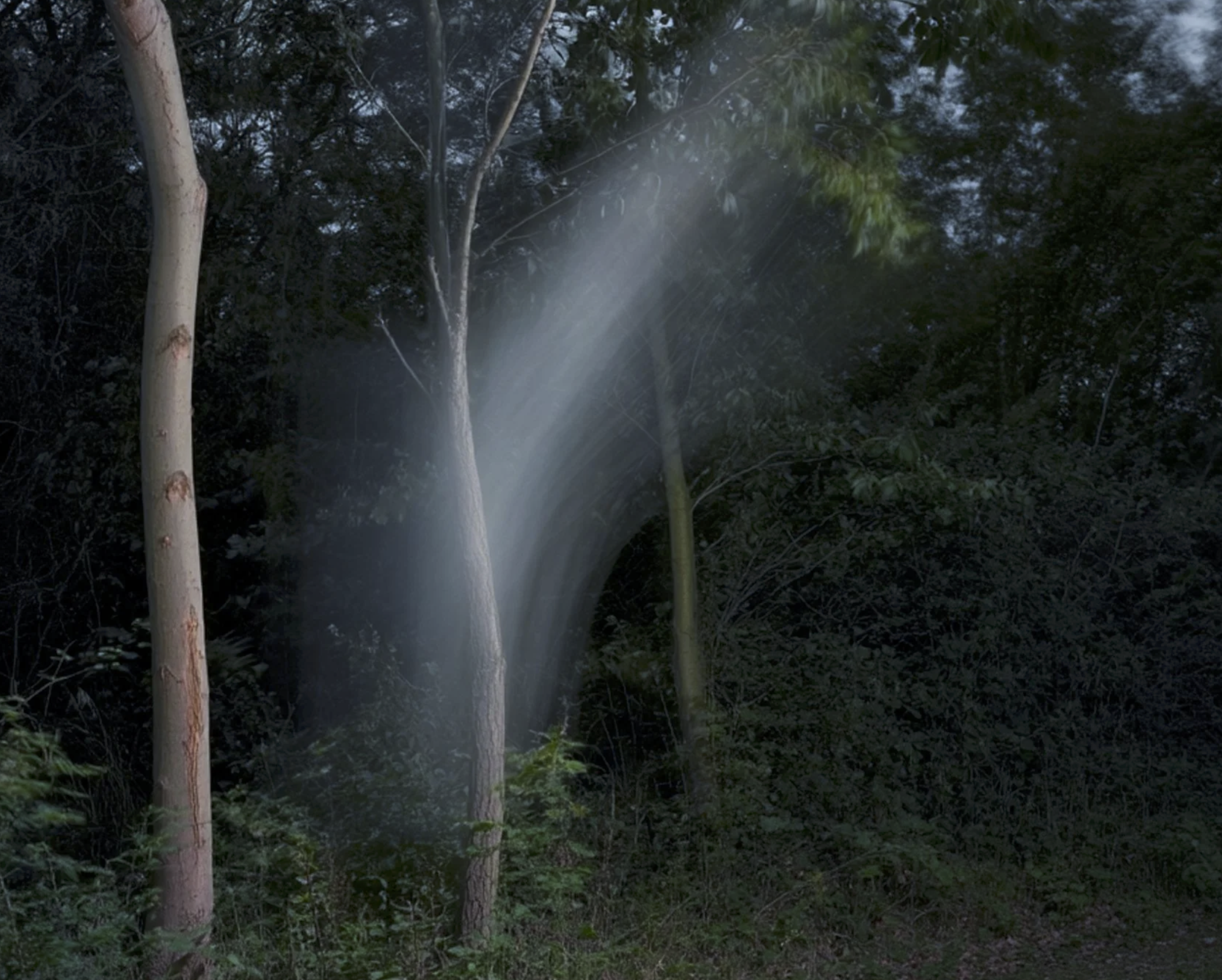 Screenshot 2026-03-03 at 2.09.36 PM.png