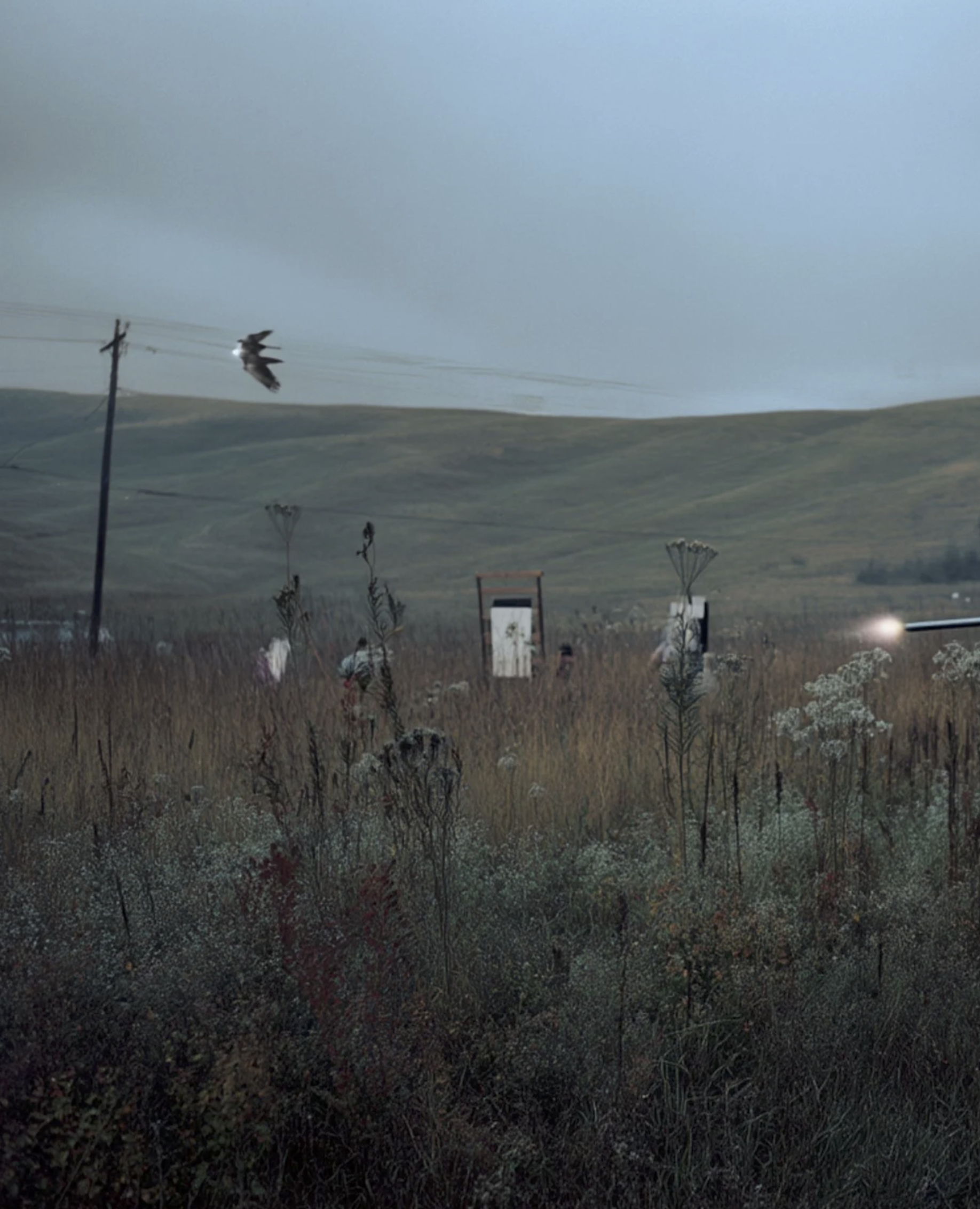 Screenshot 2026-03-03 at 2.12.27 PM.png