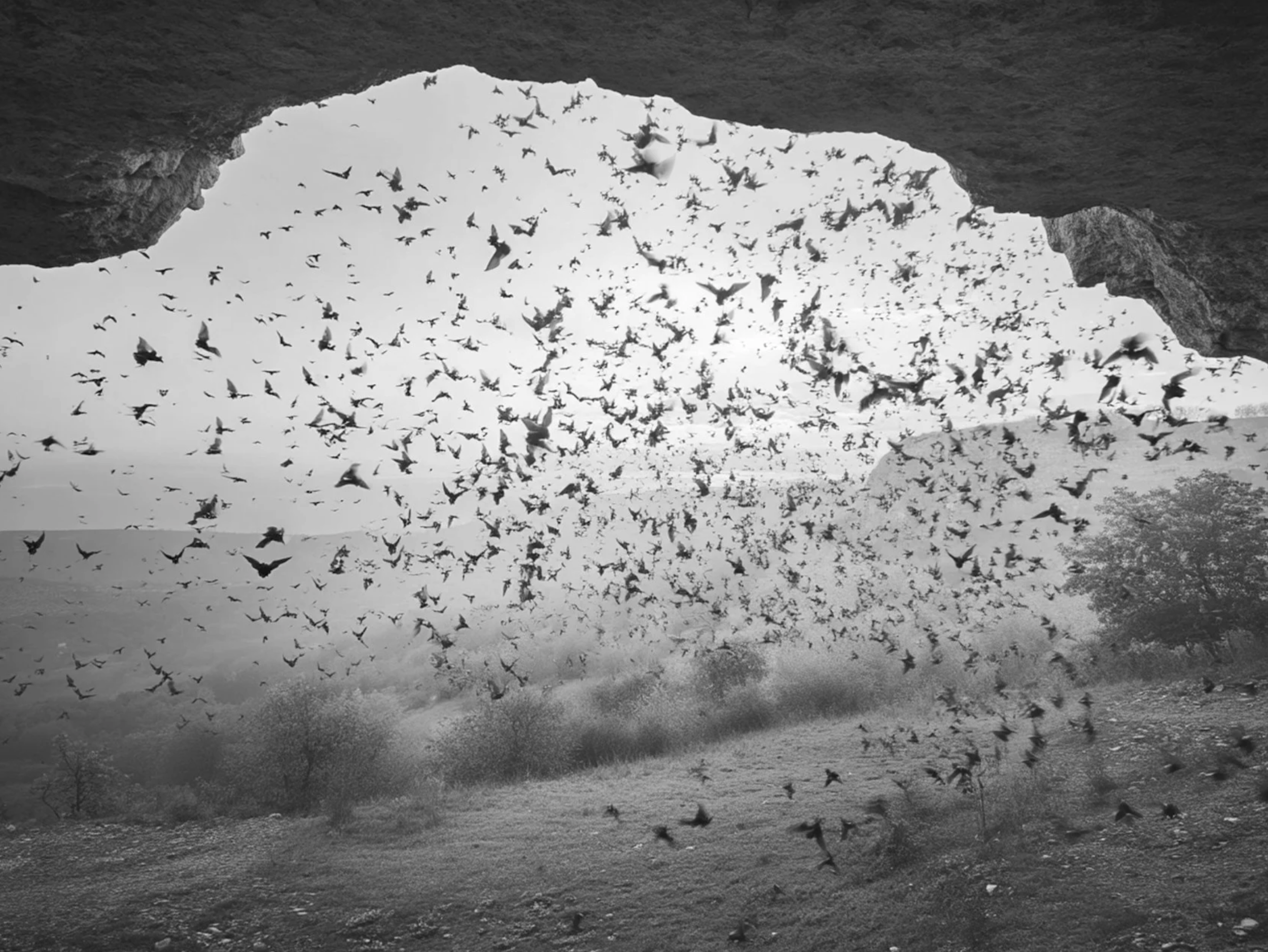 Screenshot 2026-03-03 at 2.13.17 PM.png