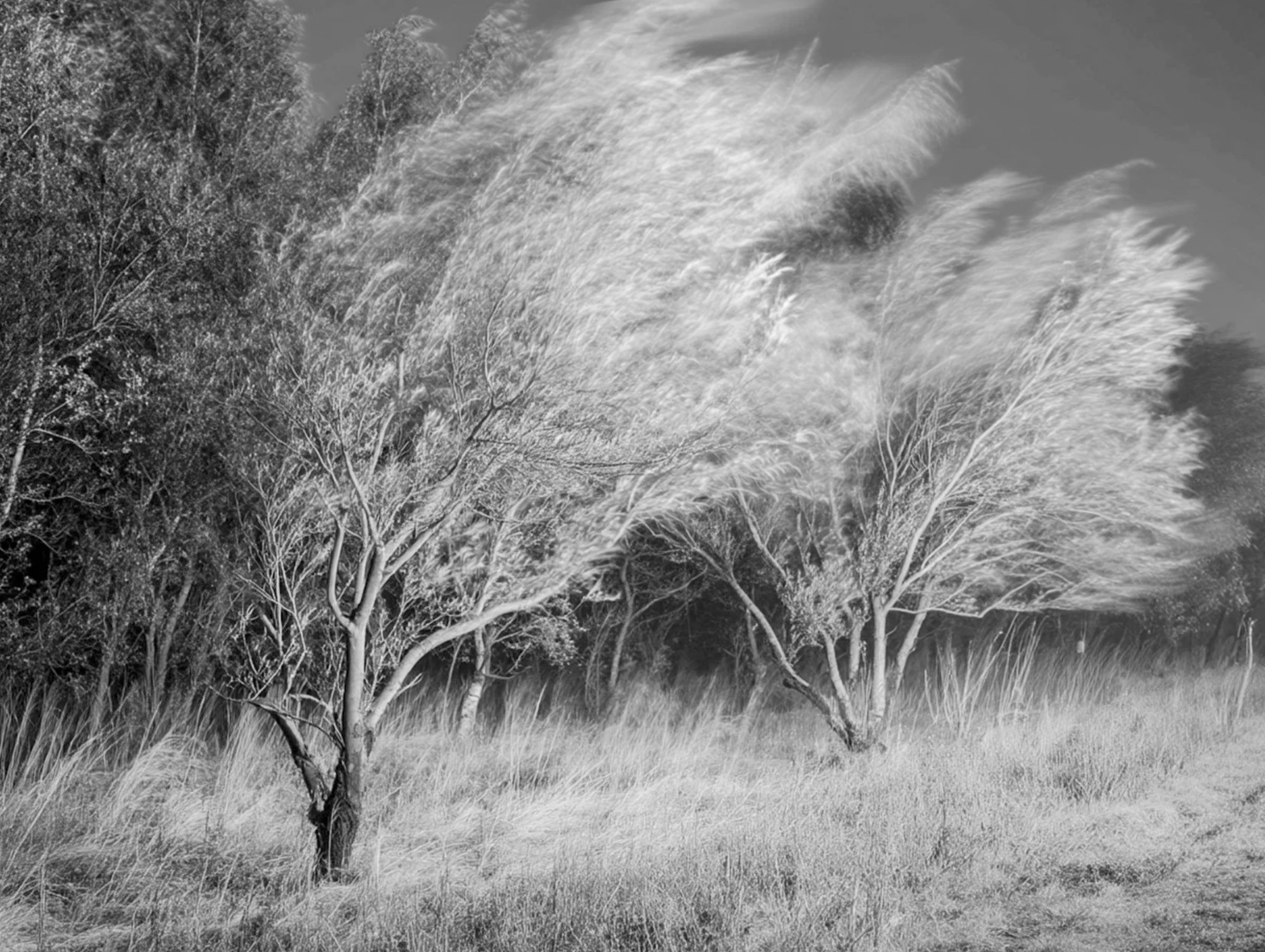 Screenshot 2026-03-03 at 2.14.24 PM.png