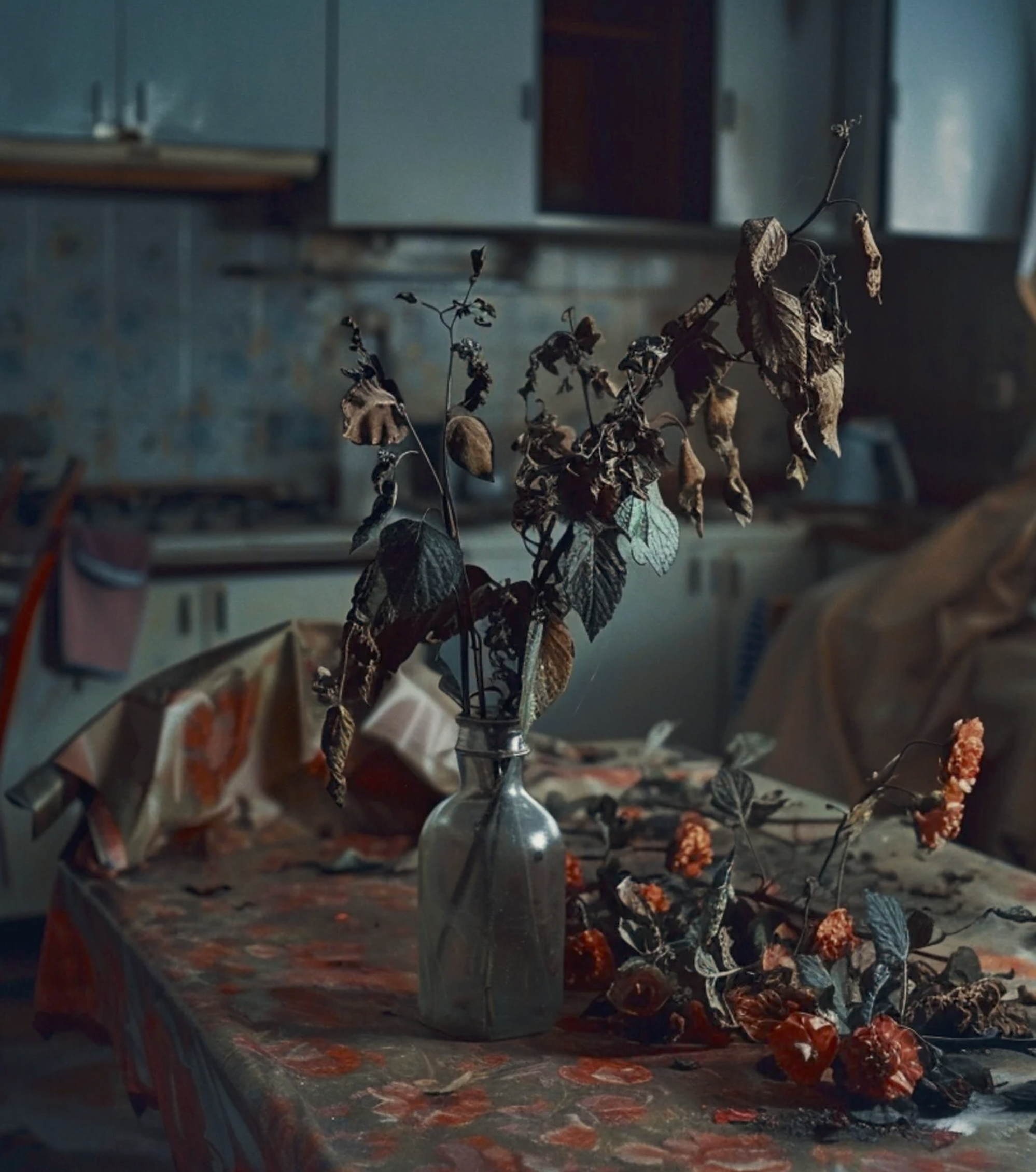 Screenshot 2026-03-05 at 10.42.37 AM.png