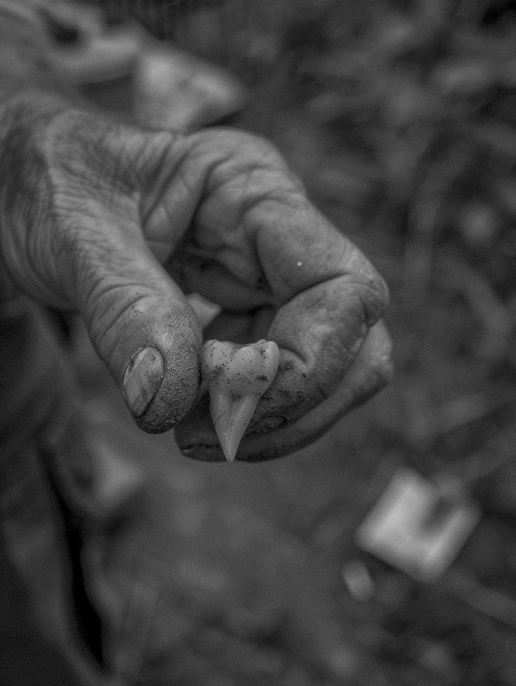 Screenshot 2026-03-05 at 10.45.30 AM.png