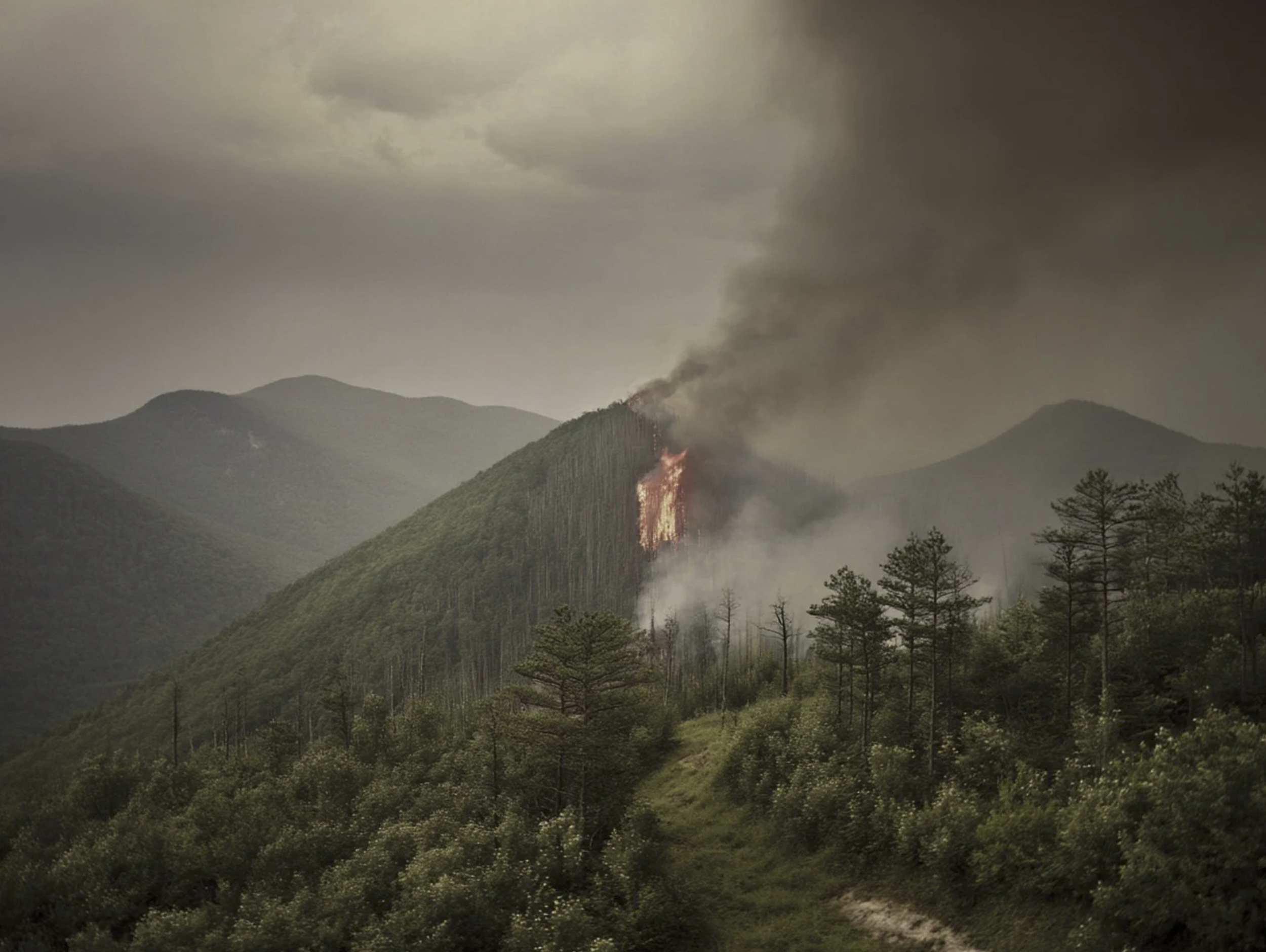 Screenshot 2026-03-05 at 10.46.59 AM.png