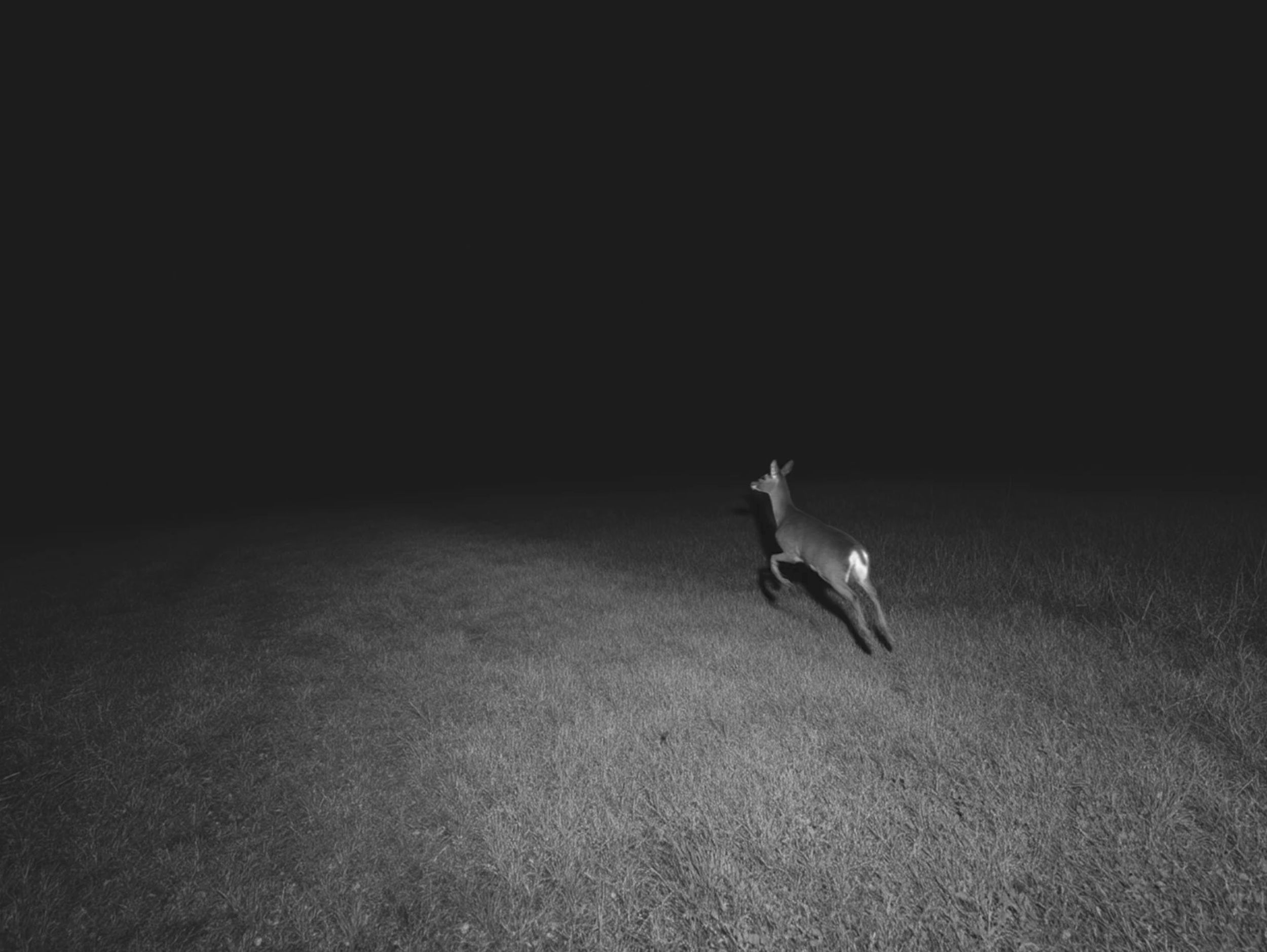 Screenshot 2026-03-05 at 10.49.44 AM.png