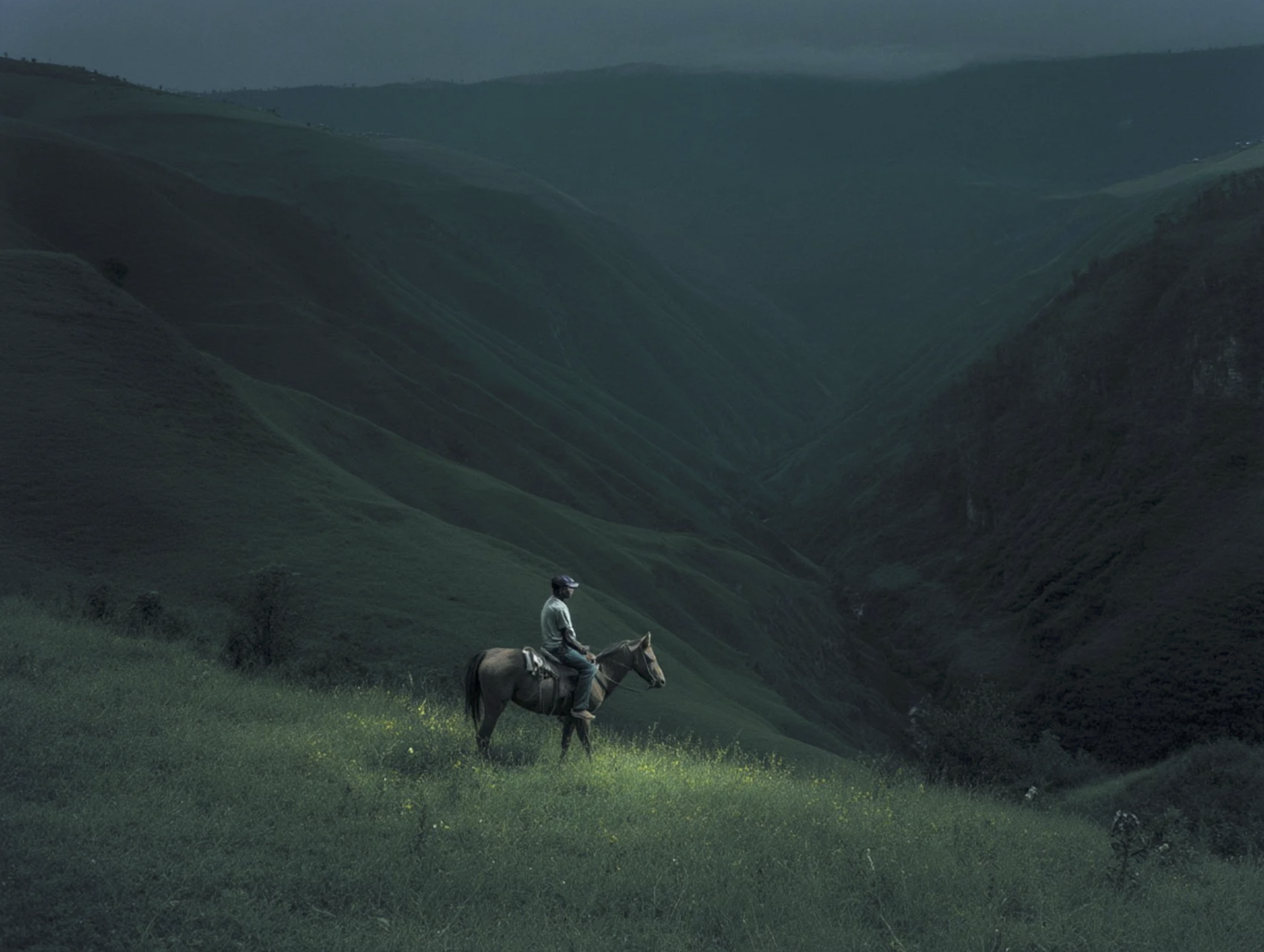 Screenshot 2026-03-05 at 10.52.56 AM.png