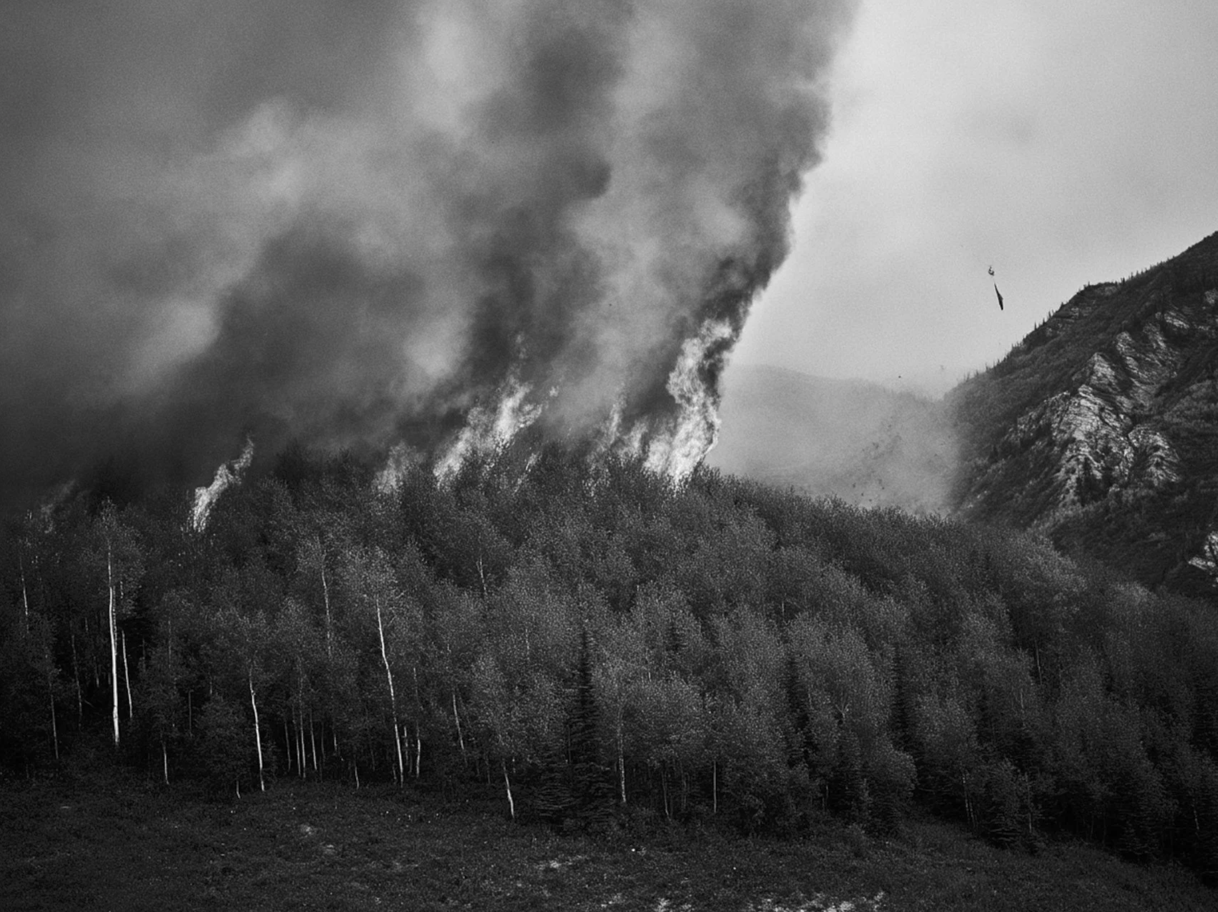 Screenshot 2026-03-05 at 10.53.10 AM.png