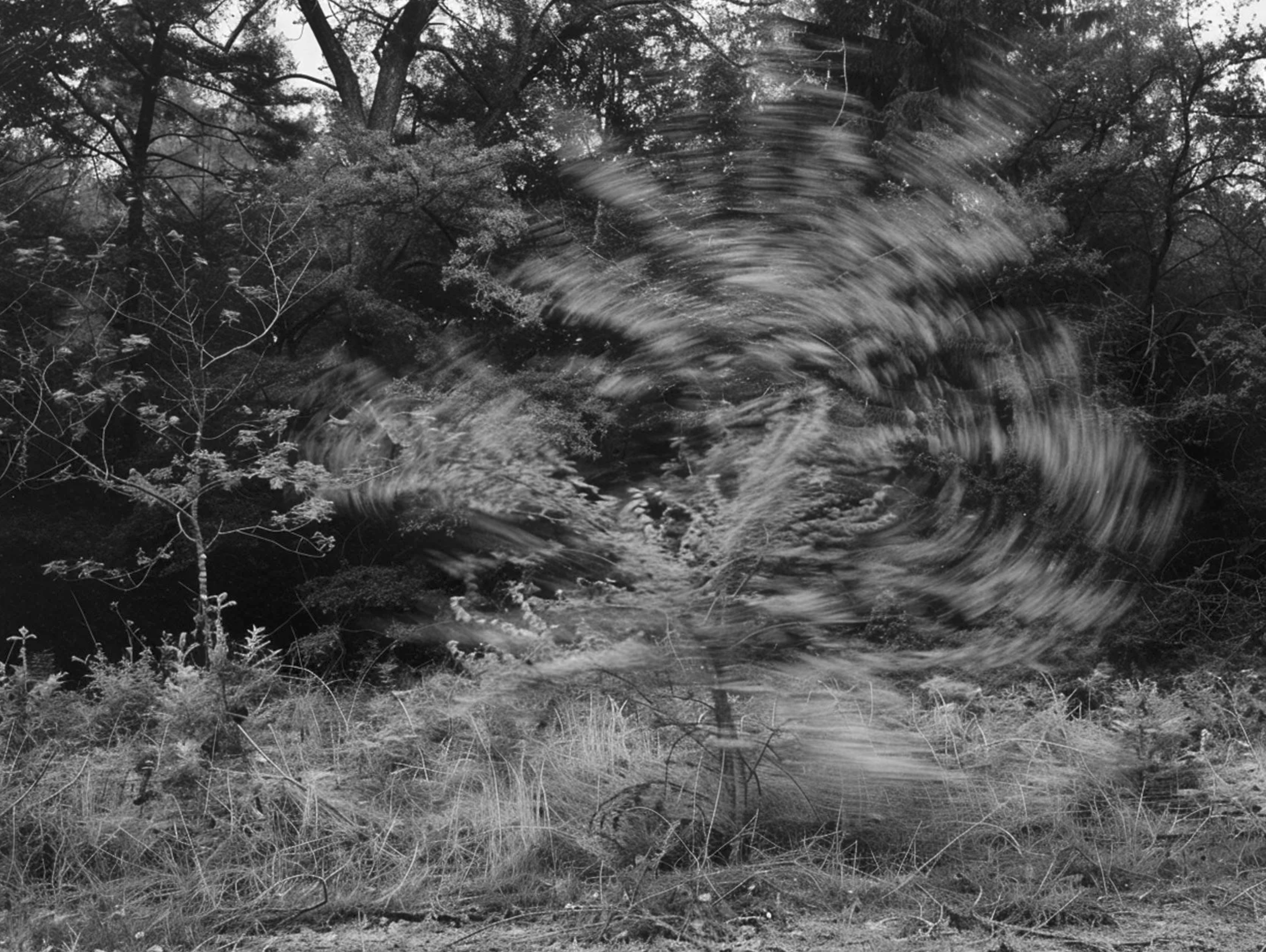 Screenshot 2026-03-05 at 10.56.22 AM.png