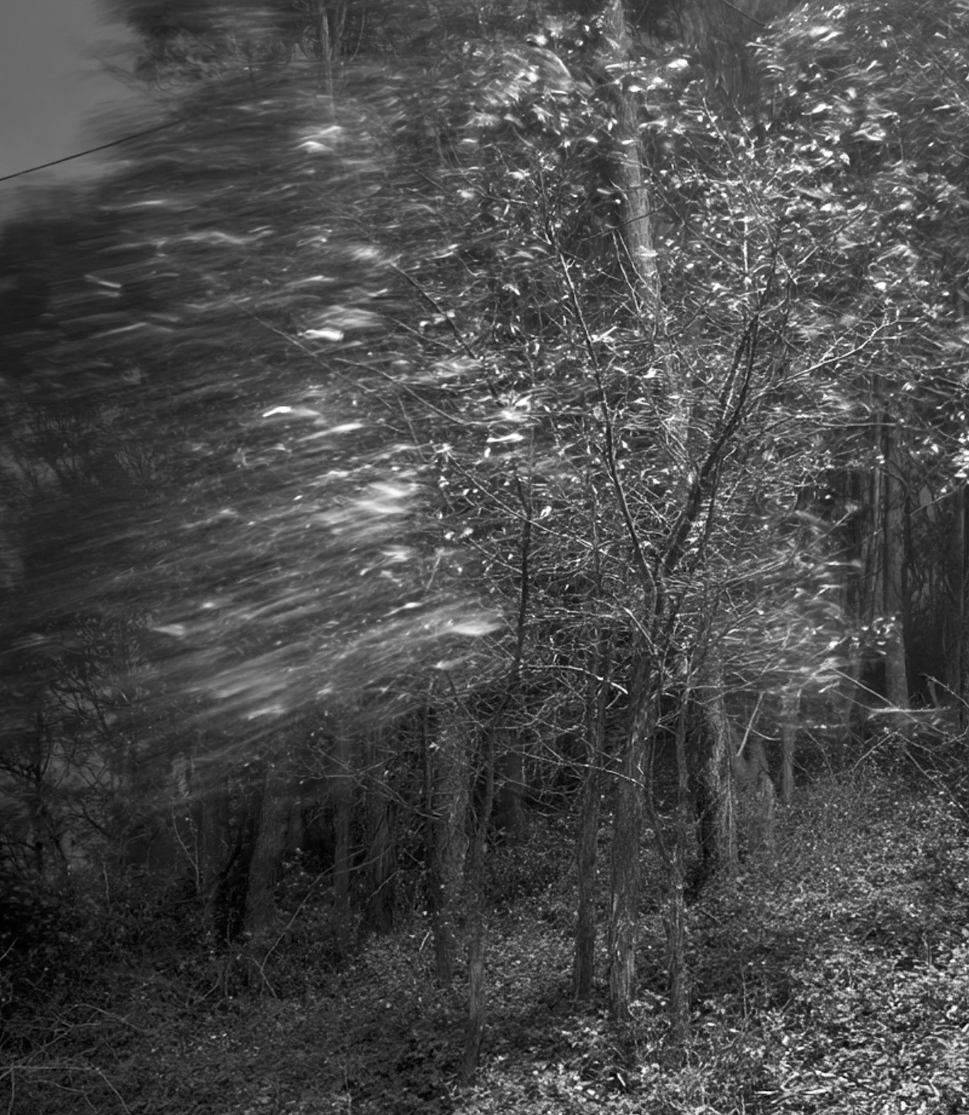 Screenshot 2026-03-05 at 10.56.40 AM.png