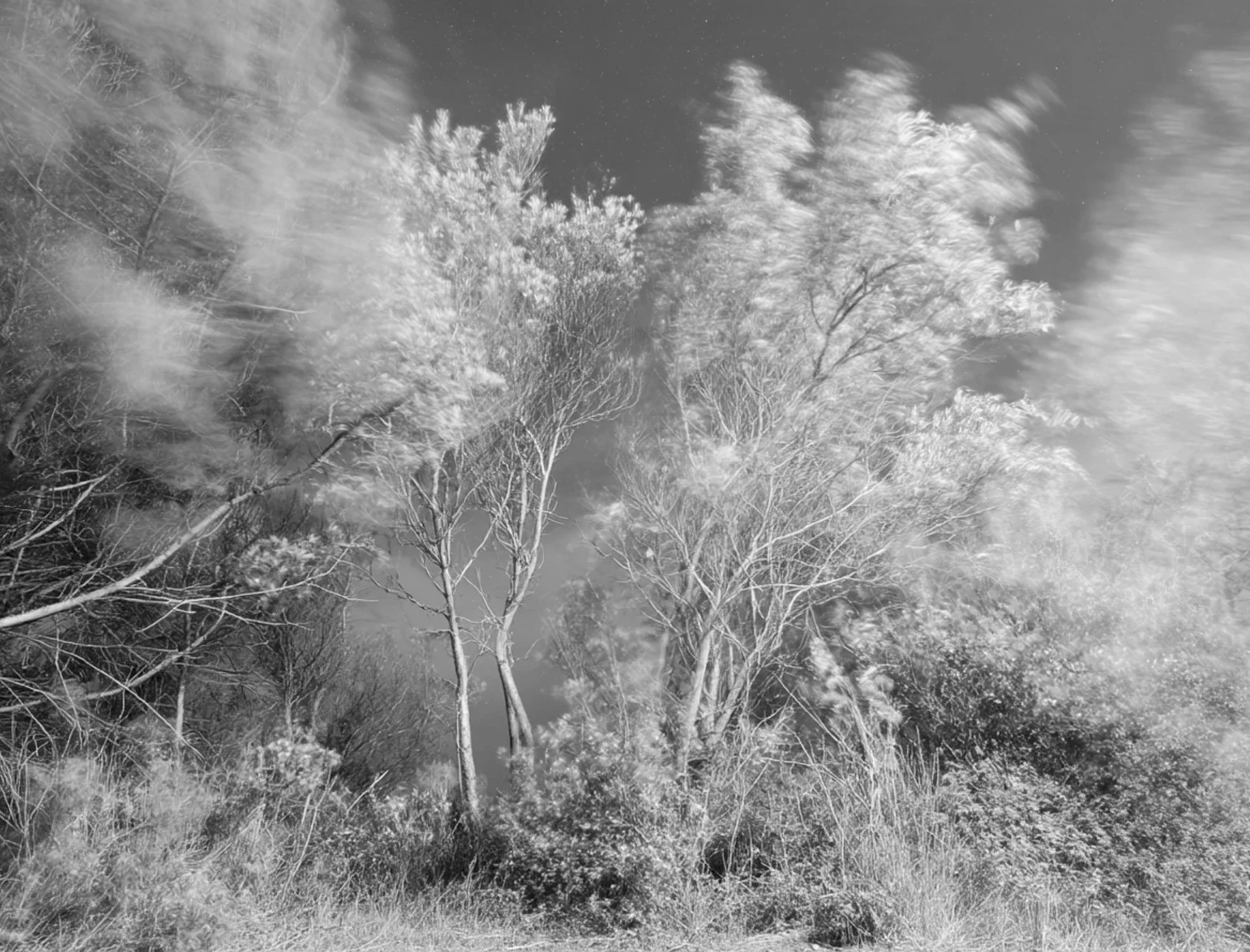 Screenshot 2026-03-05 at 10.57.01 AM.png