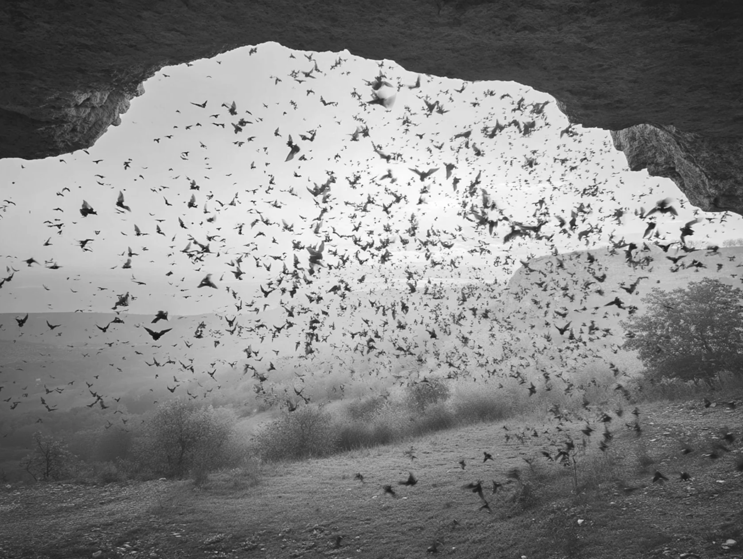 Screenshot 2026-03-05 at 11.03.27 AM.png