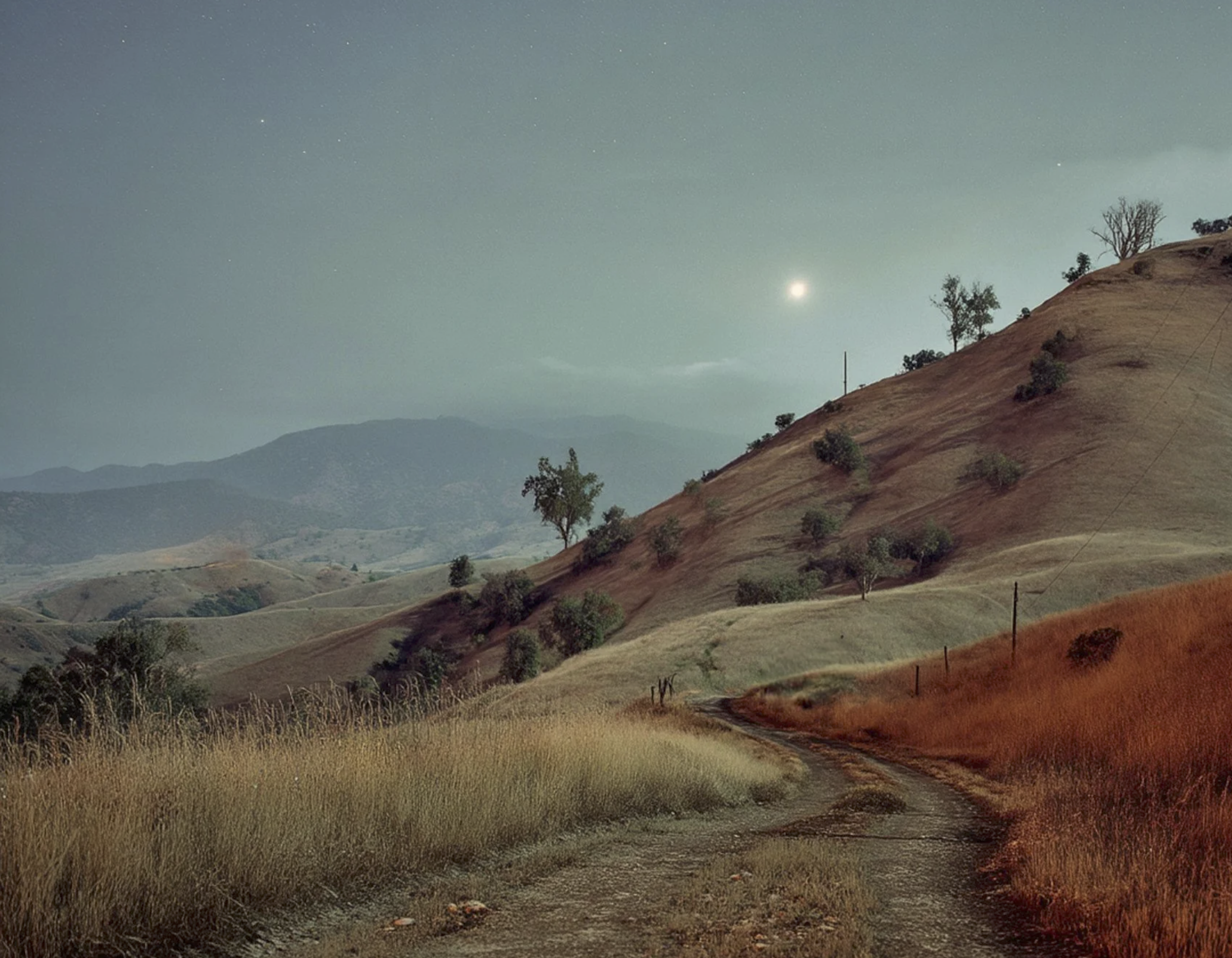 Screenshot 2026-03-05 at 11.06.35 AM.png