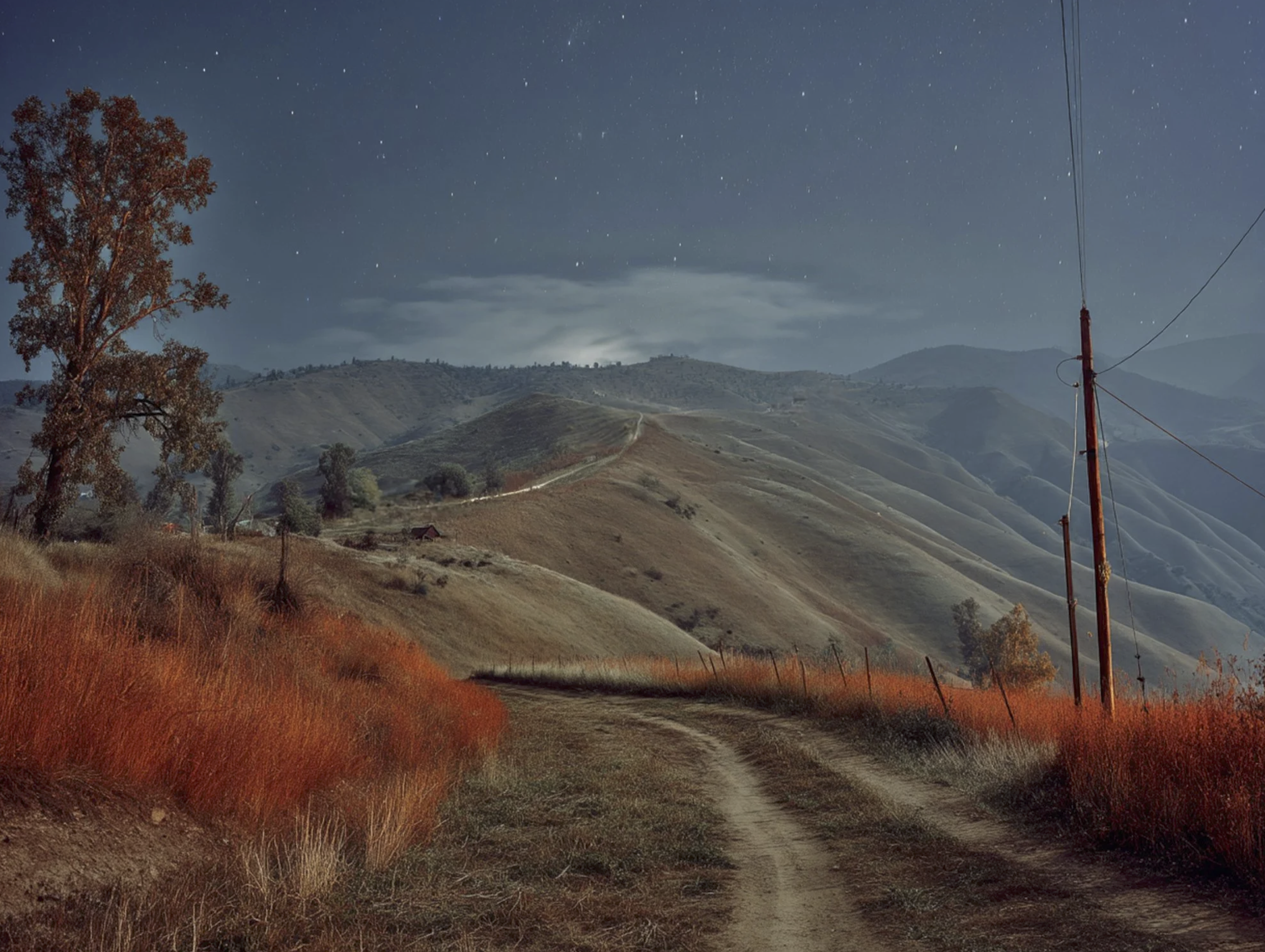 Screenshot 2026-03-05 at 11.58.37 AM.png