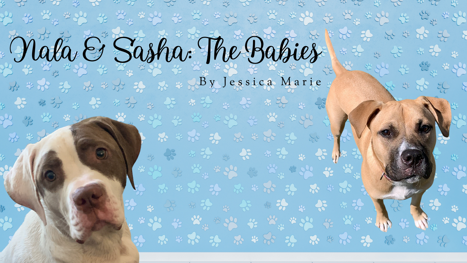 Nala & Sasha: The Babies episode artwork