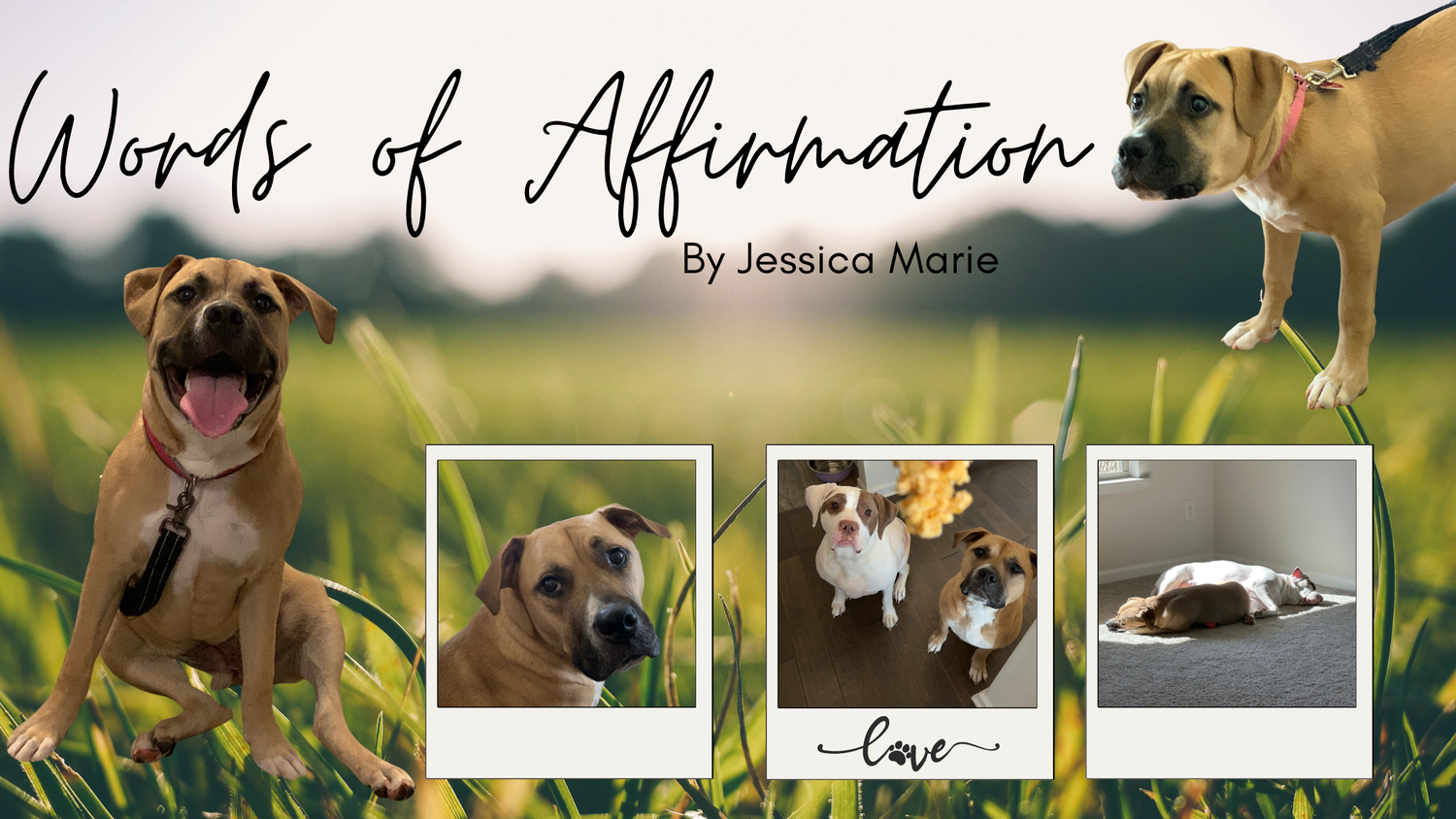 Words of Affirmation episode artwork