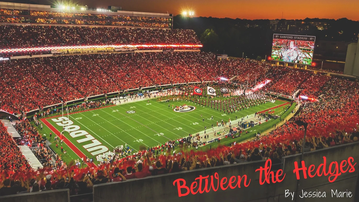 Between the Hedges episode artwork