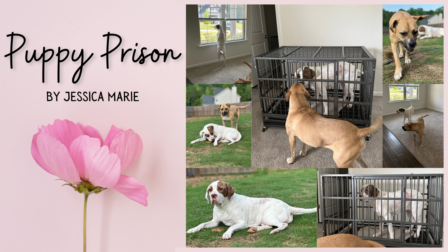 Puppy Prison episode artwork