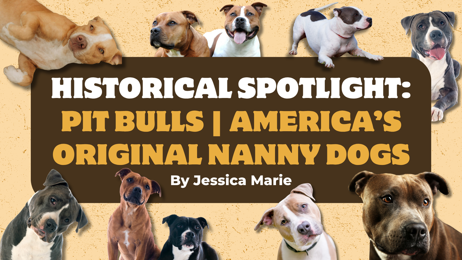 Historical Spotlight: Pit Bulls | America’s Original Nanny Dogs episode artwork