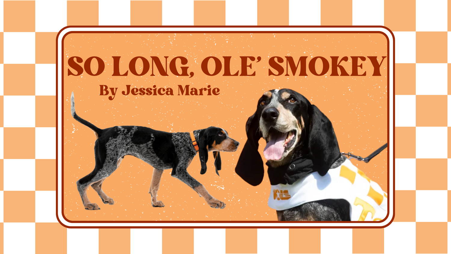 So Long, Ole’ Smokey episode artwork