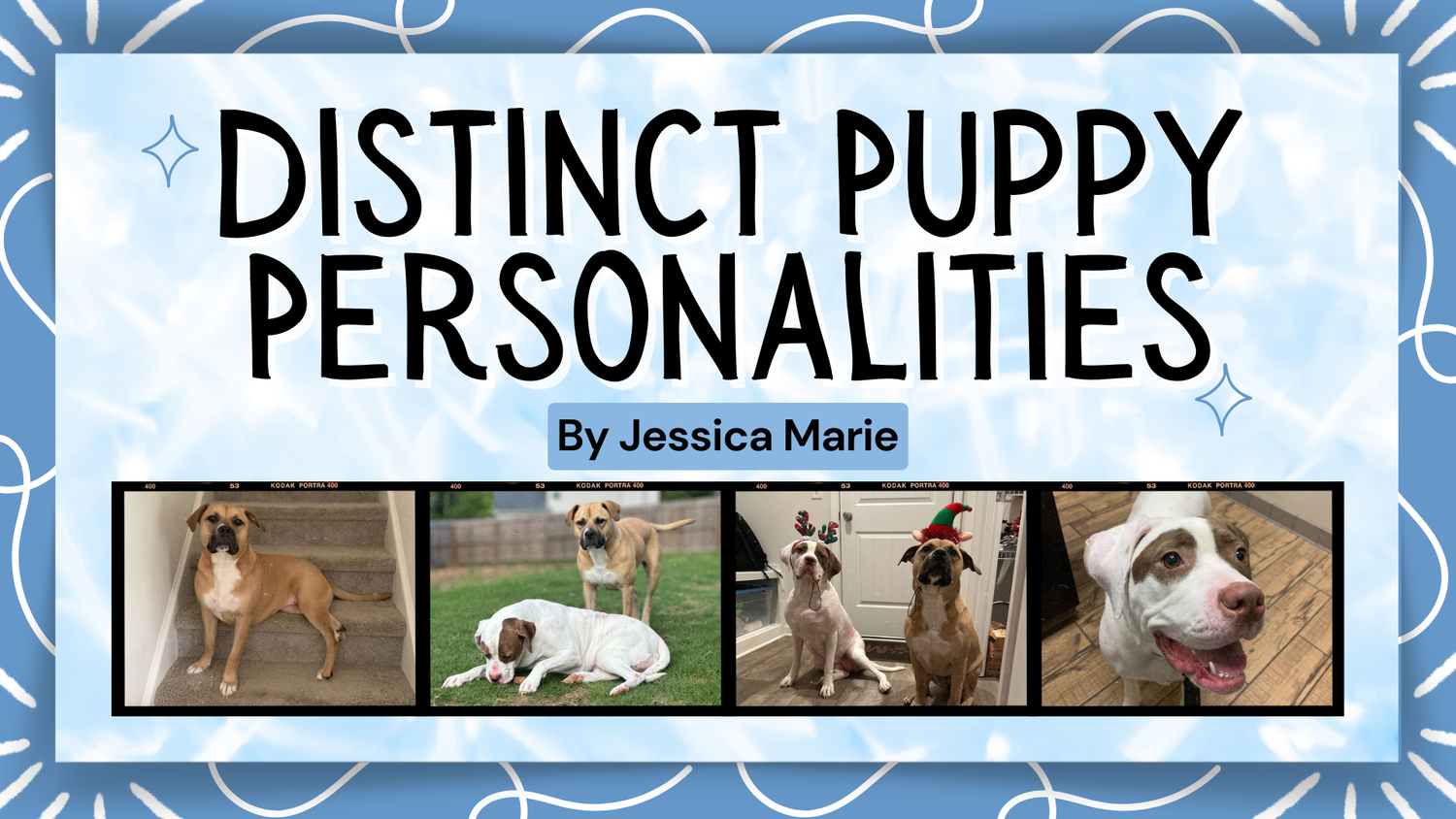 Distinct Puppy Personalities episode artwork