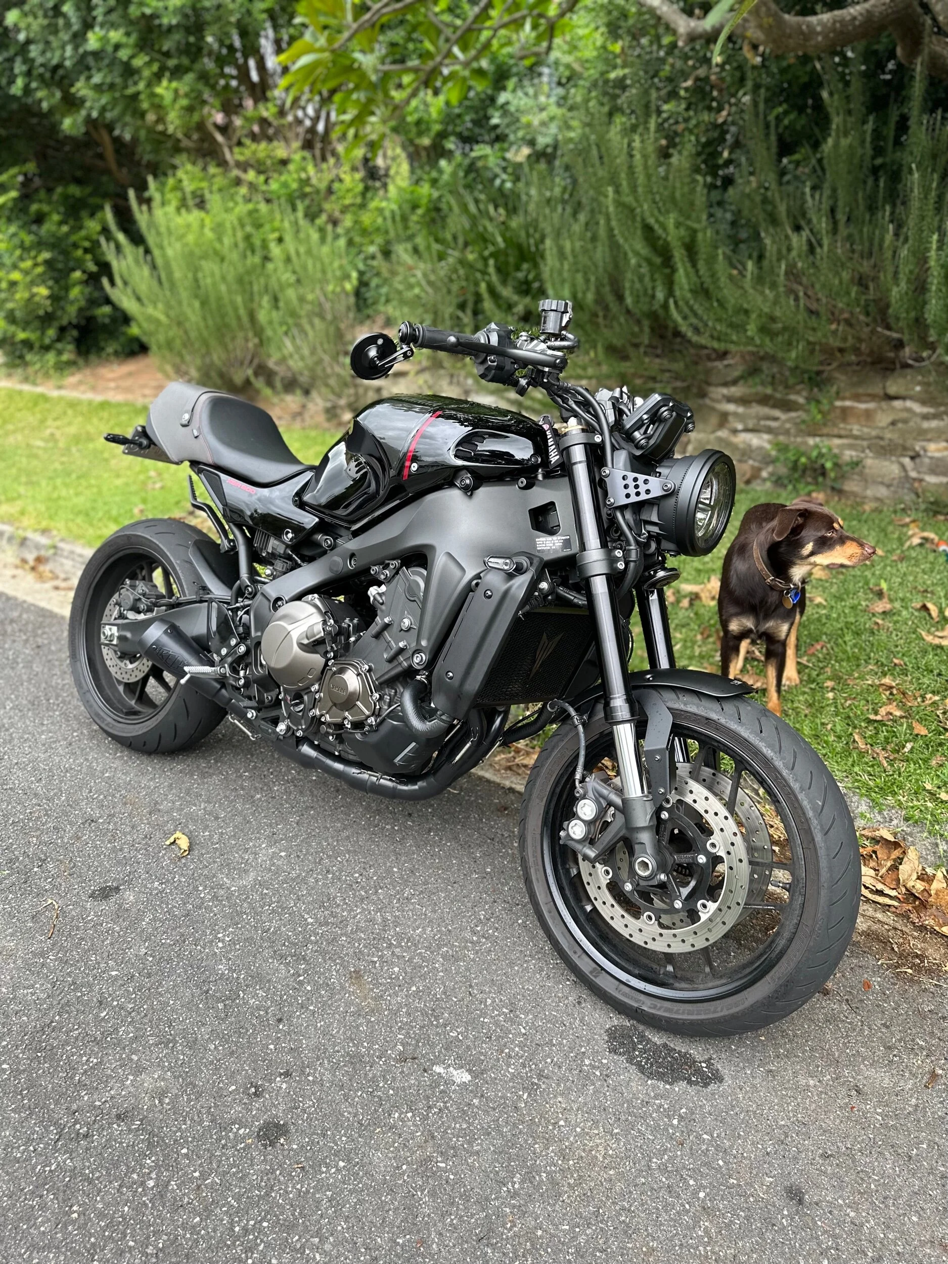 Yamaha XSR900 Custom Seats 2022+ Reshape & Trim — KELPI