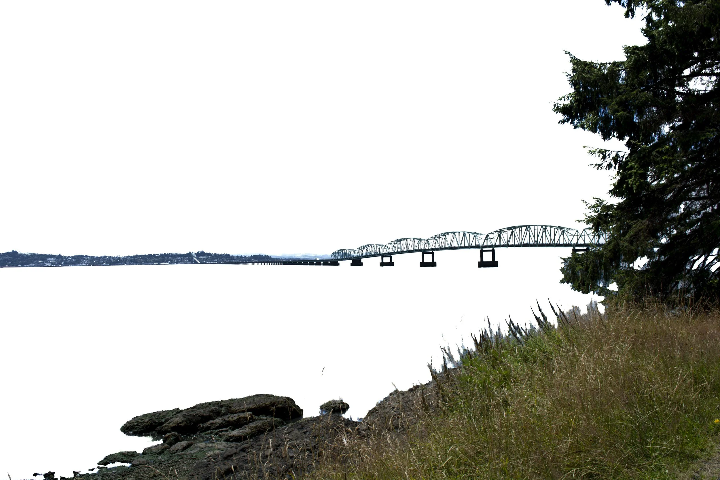 Astoria-Megler Bridge: 14 Miles Long- A bit terrifying on a bicycle- Opened in 1966