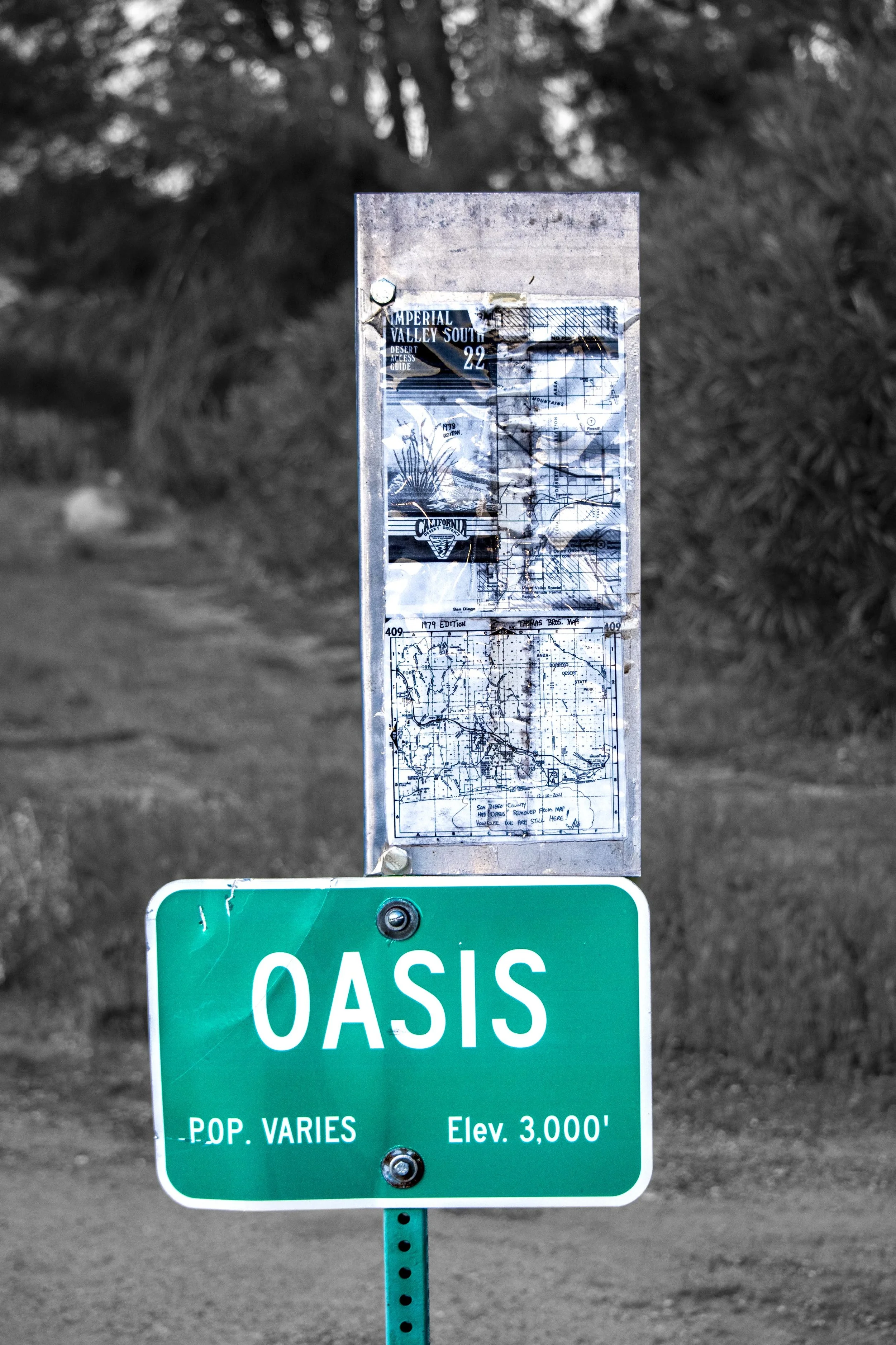 Just Outside Jacumba